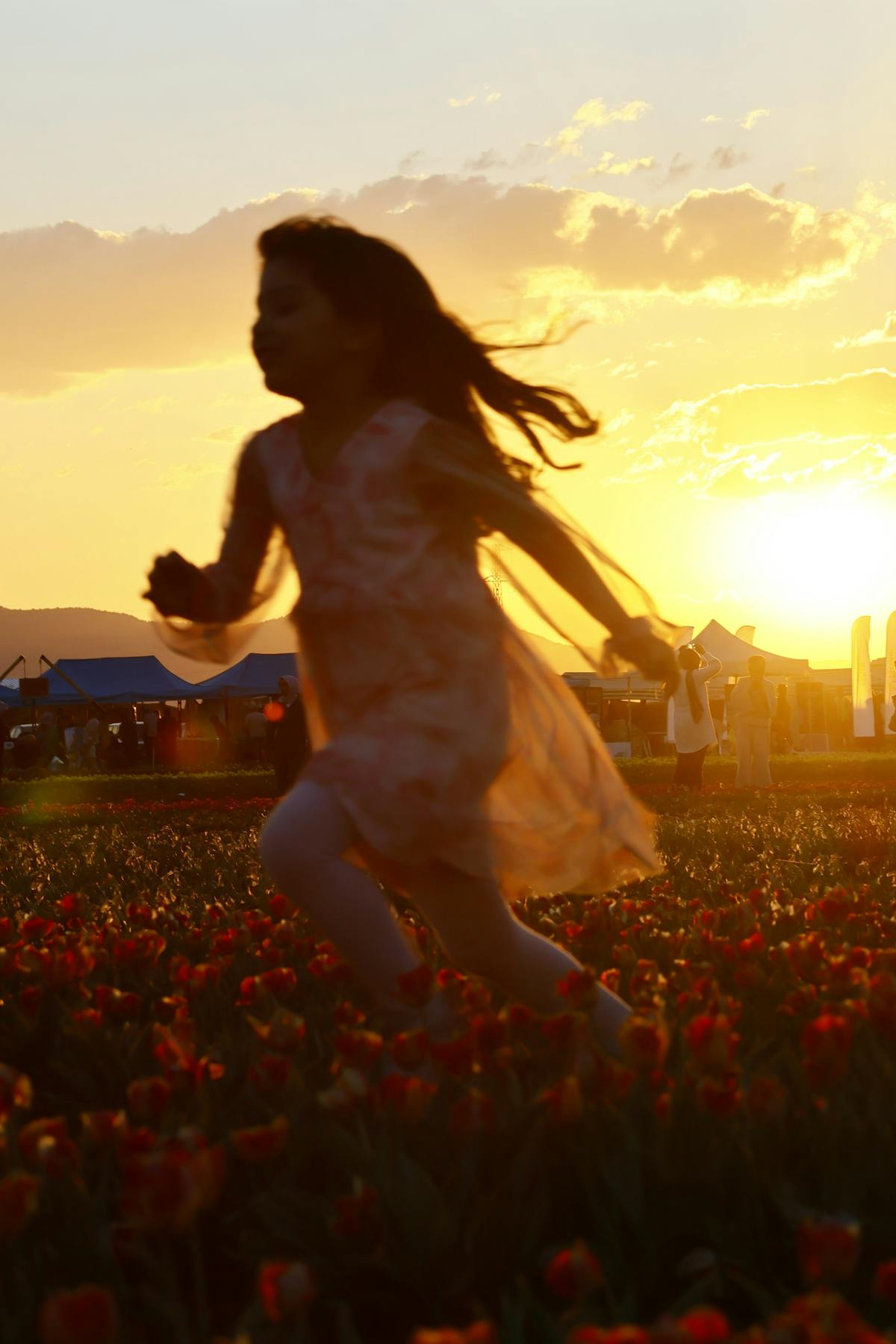 Saxy Girl Photos Download The BEST Free Saxy Girl Stock Photos HD Images