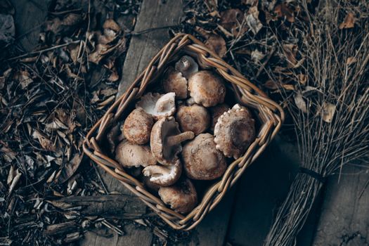 Basket filled with freshly harvested shiitake mushrooms on a rustic wooden surface.