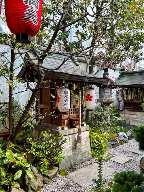 Free Serene garden with Japanese shrine, red lanterns, and blooming plants creating a tranquil scene. Stock Photo