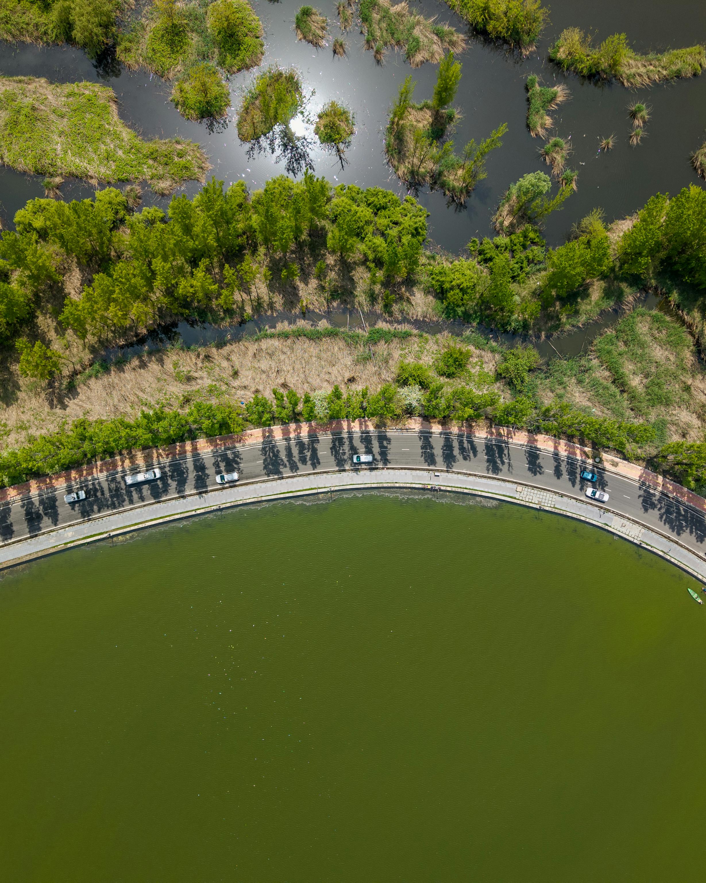 Aerial photograph capturing a scenic curving road along a lake surrounded by lush greenery in Srinagar.