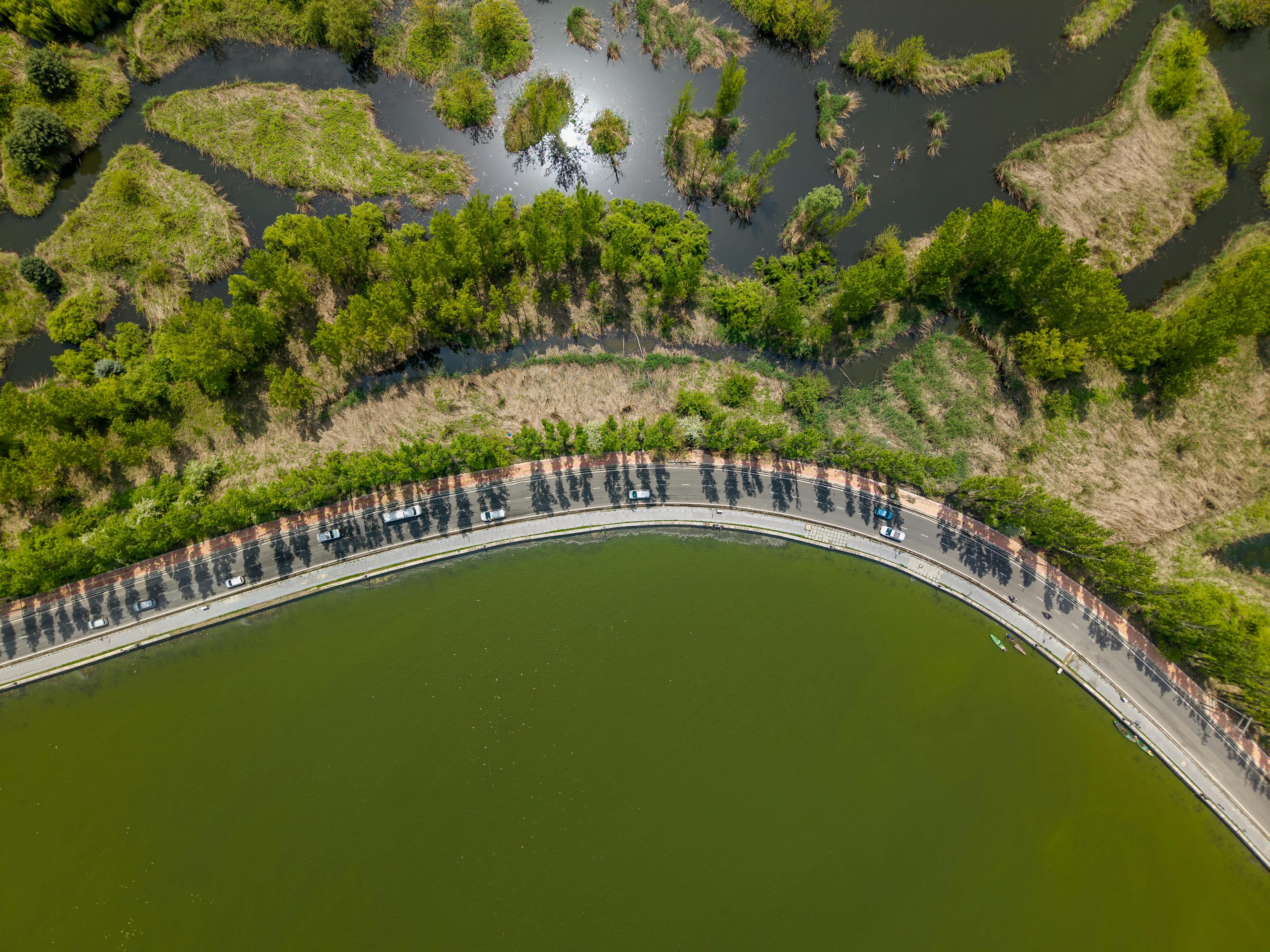 climate resilience ecosystem restoration — Photo by Imad Clicks on Pexels