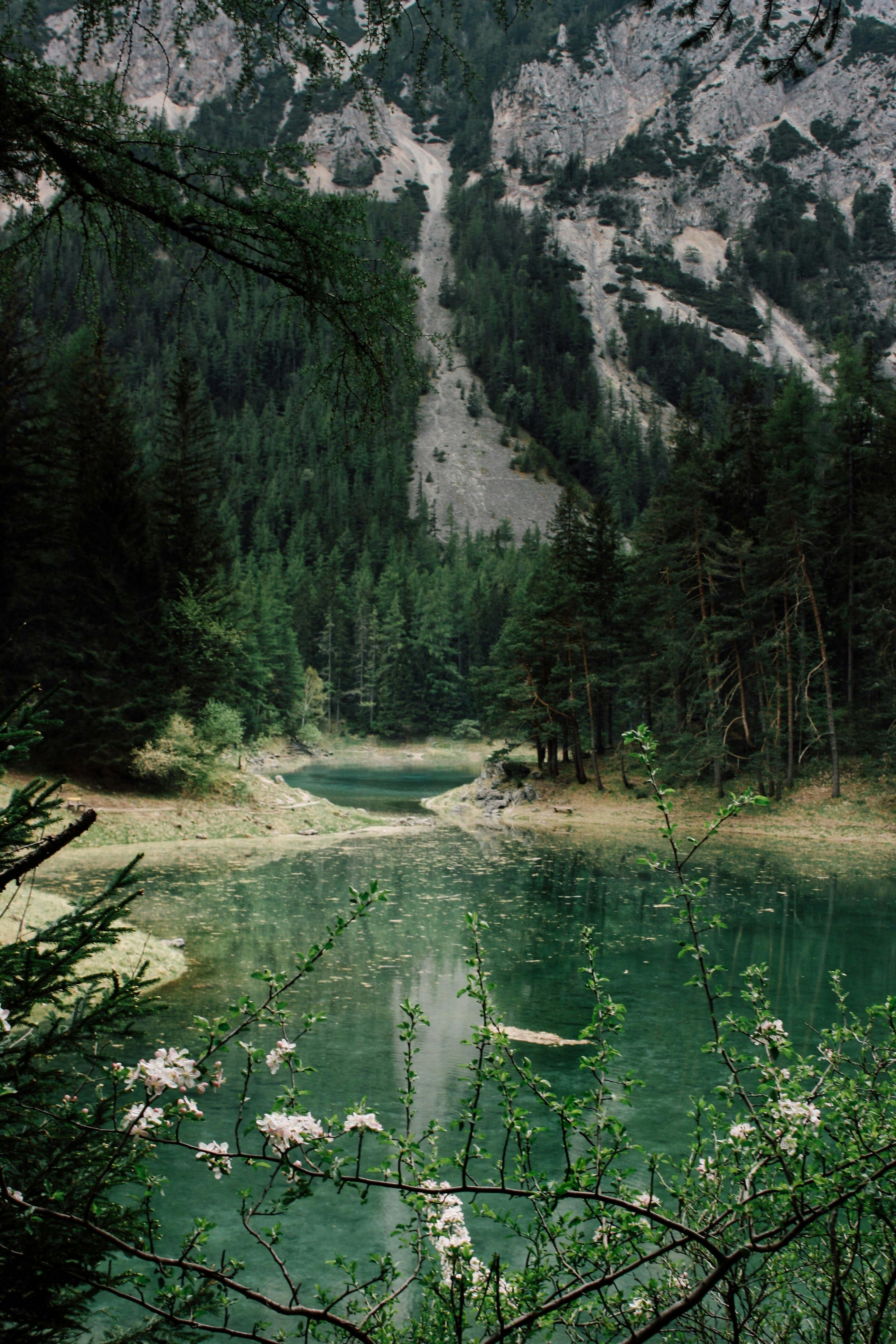 Breathtaking view of Grüner See surrounded by lush forest and Alpine beauty in Austria.