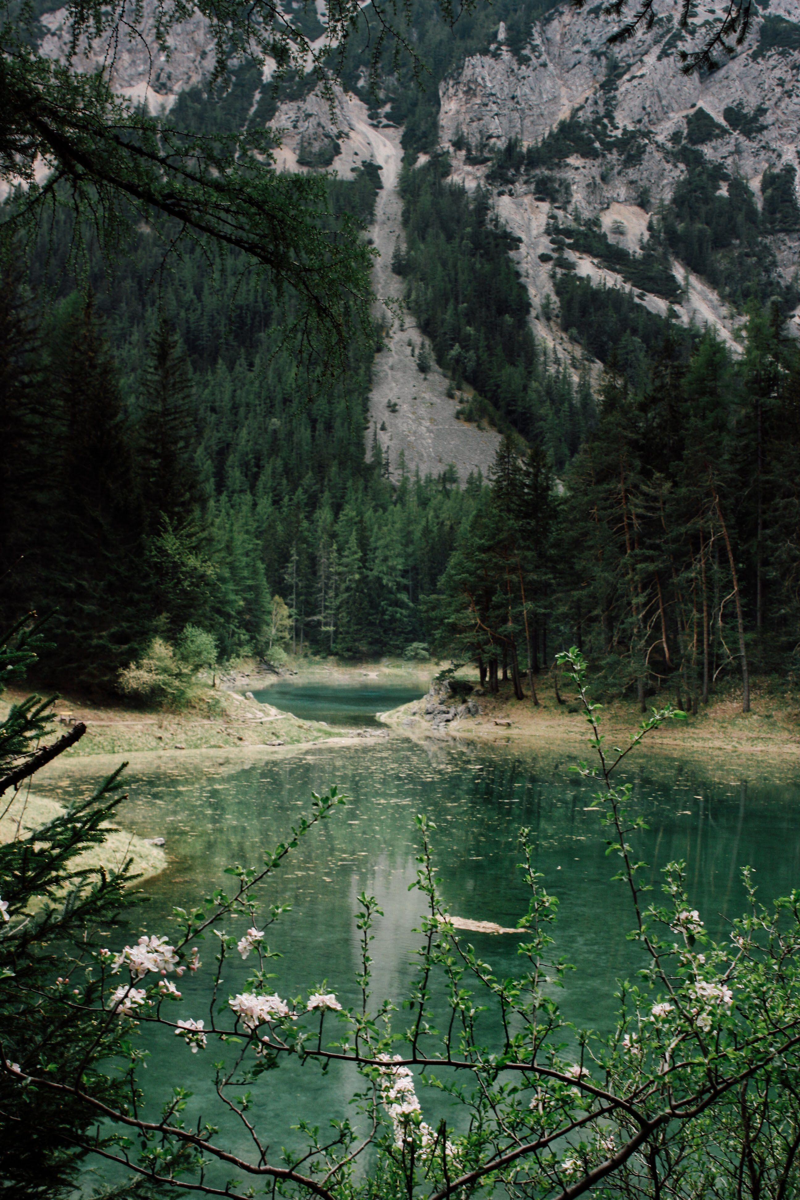 Enchanting View of Grüner See in Austria · Free Stock Photo