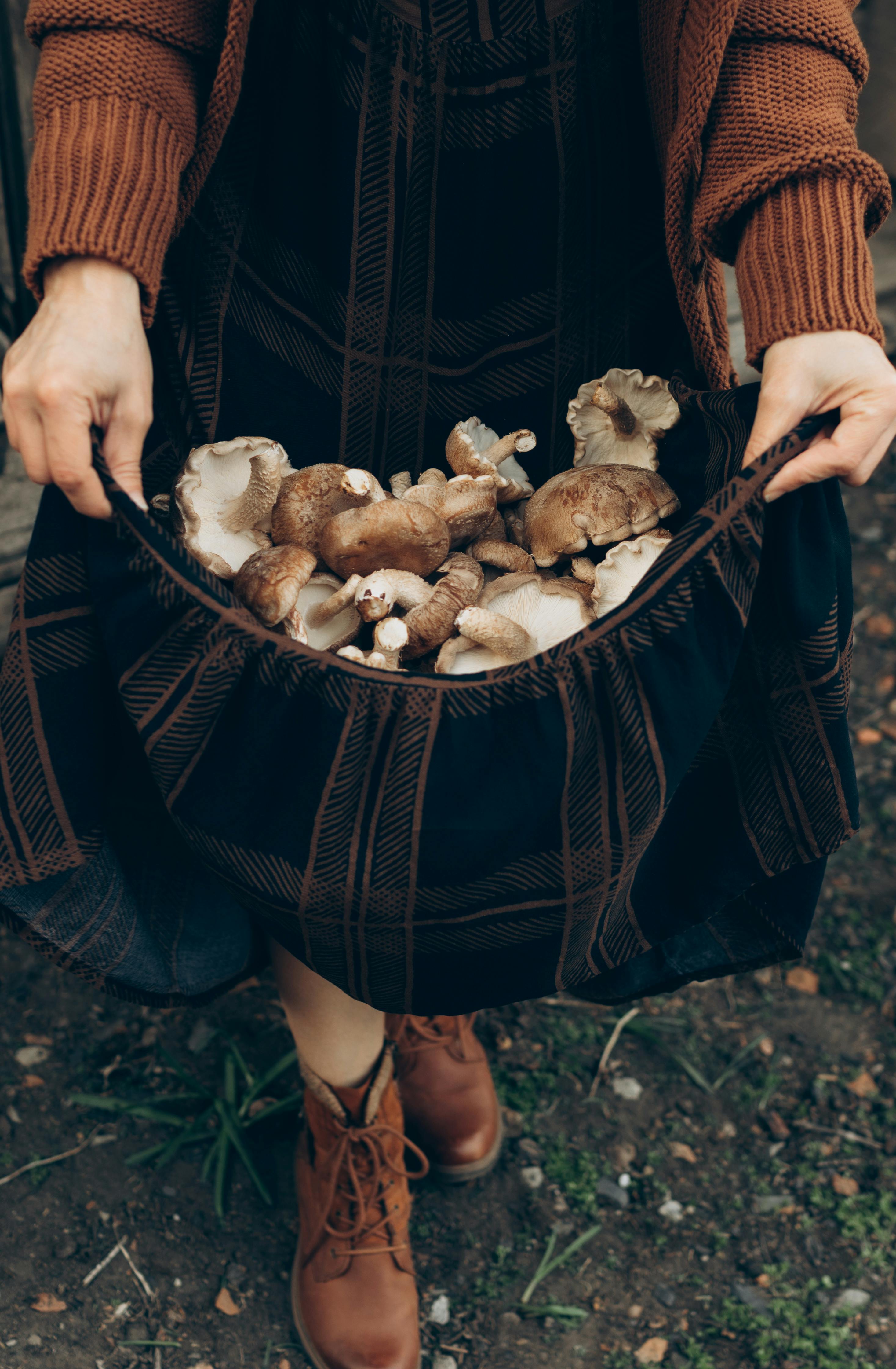 A woman holds freshly picked mushrooms in her dress outdoors, wearing autumn clothing and boots.