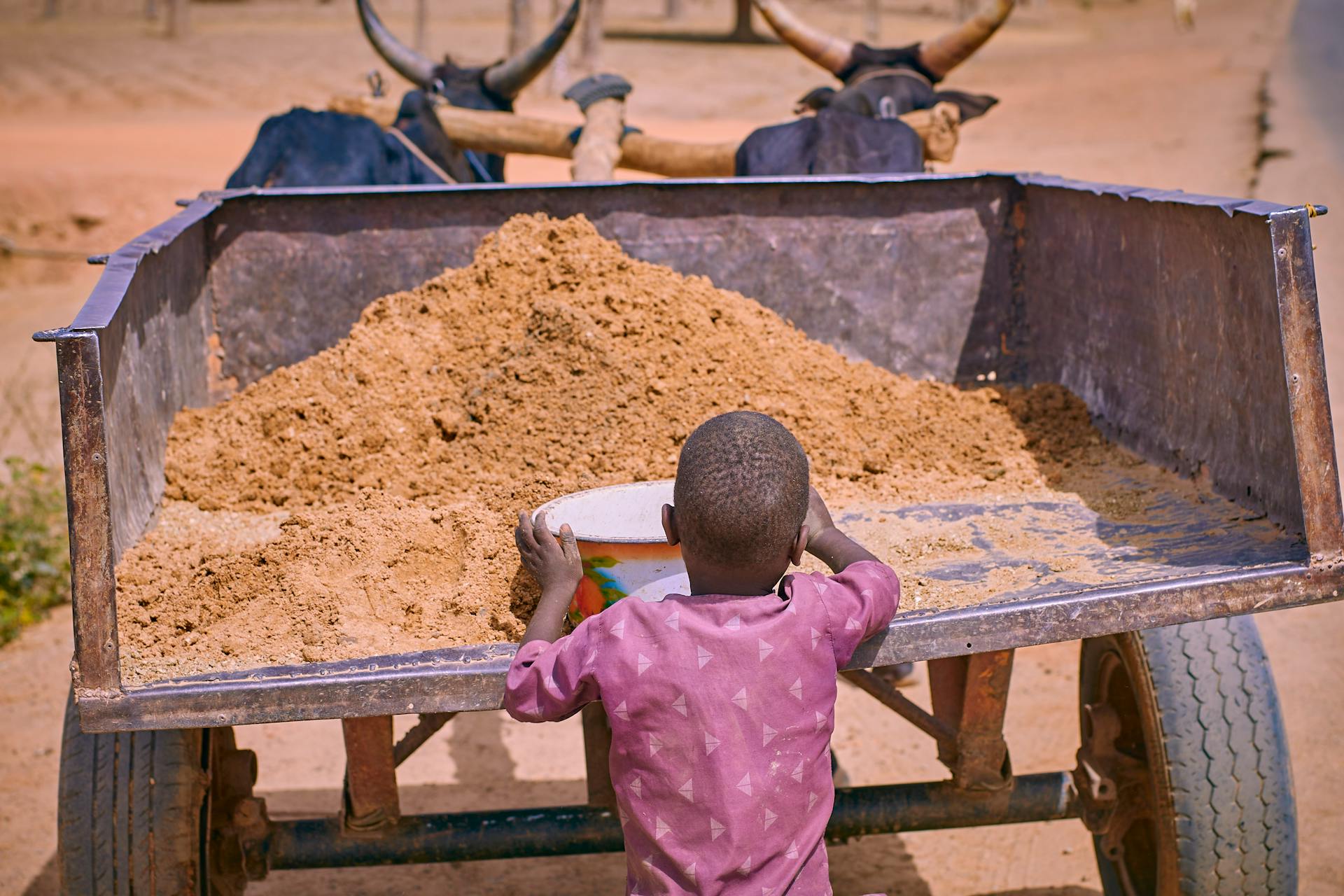 Young boy works by loading sand into an ox cart on a rural dirt road.