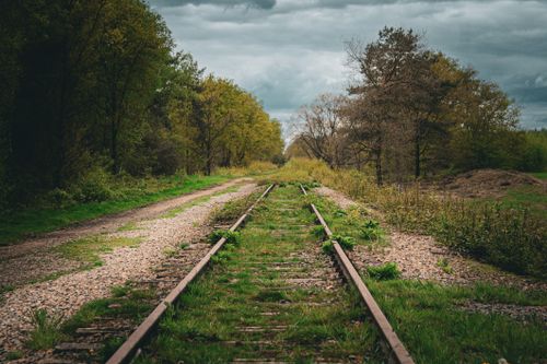 Free Abandoned railway tracks overgrown with grass in a serene forest setting. Stock Photo