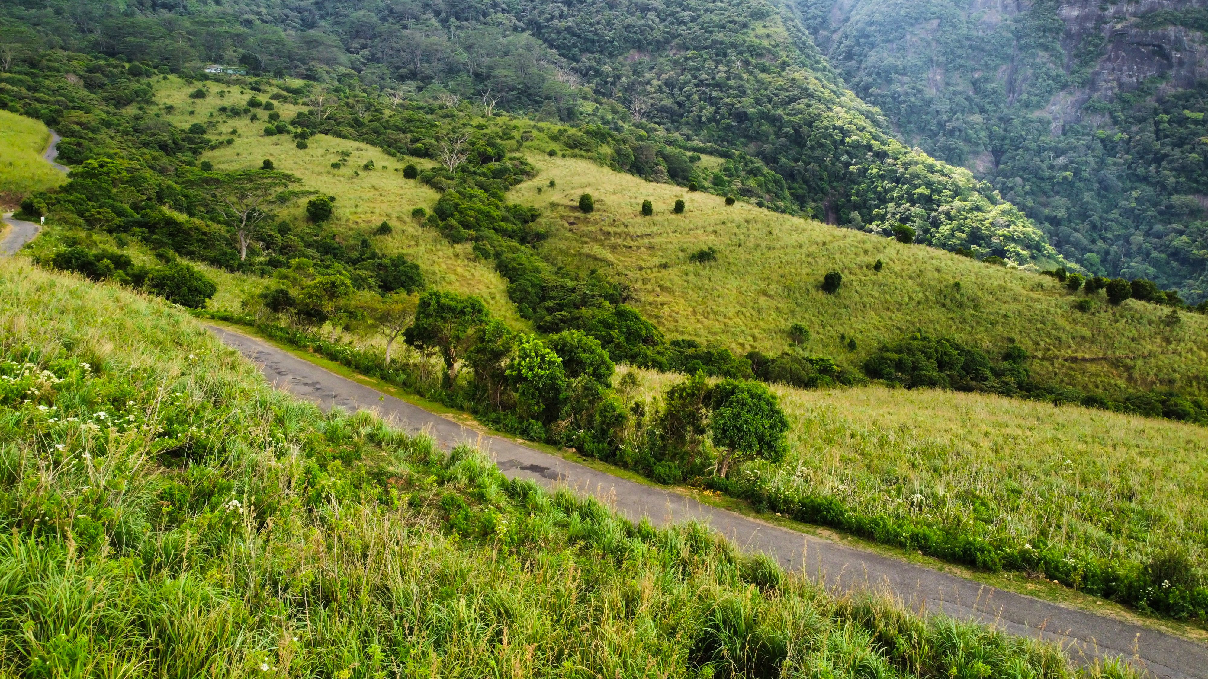 Scenic Aerial View of Lush Green Landscapes · Free Stock Photo