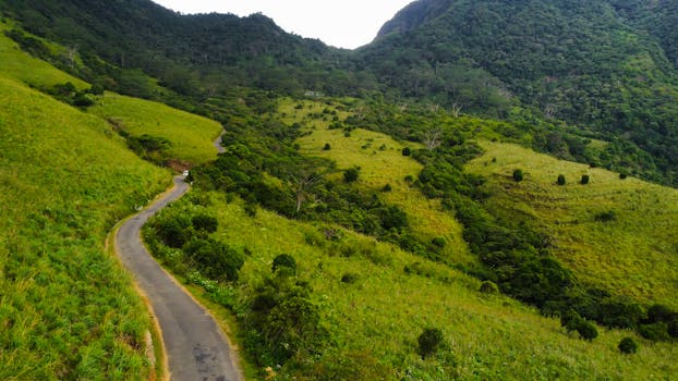 Discover the beauty of nature with a winding road through lush green hills from a breathtaking aerial perspective.