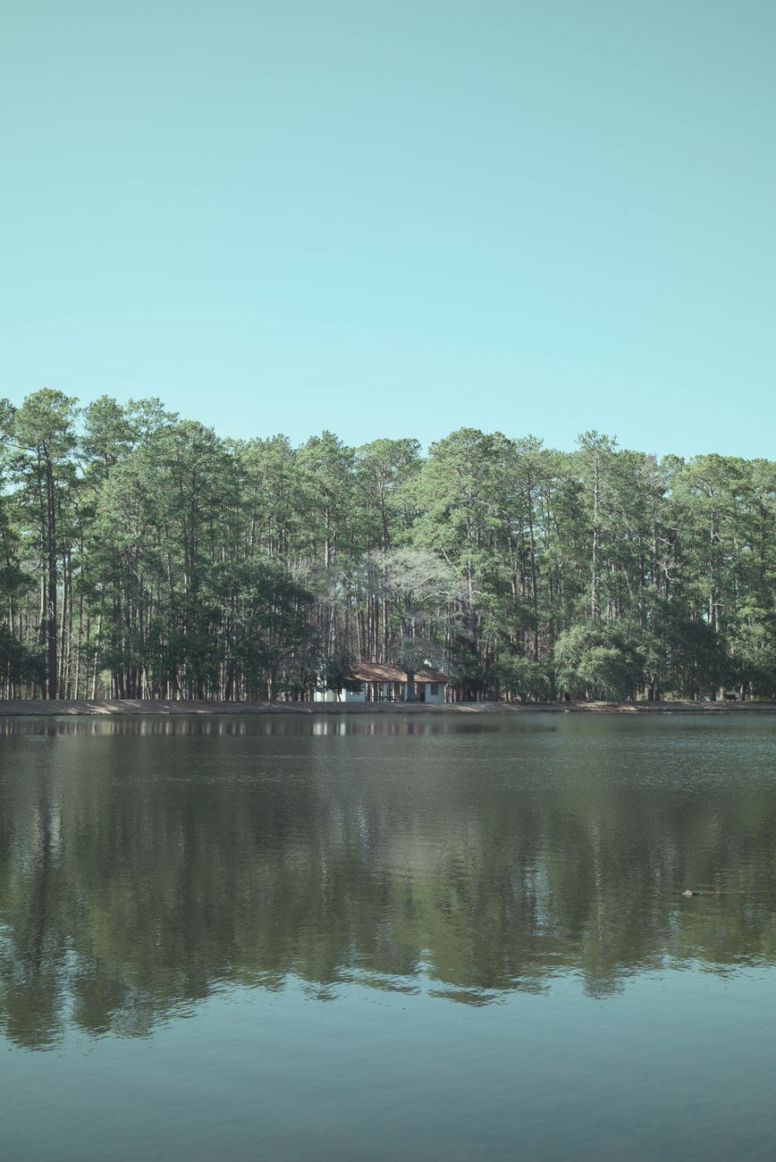 Conroe - Tiny Homes