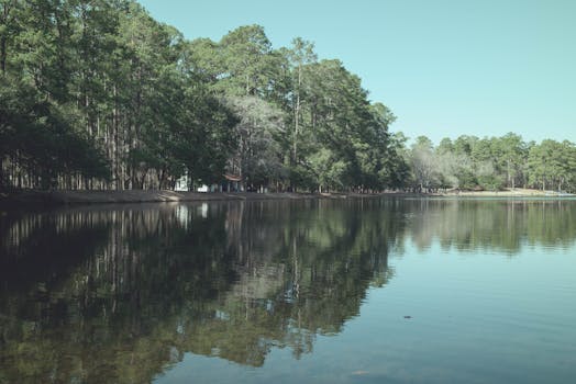 Serene view of a lake surrounded by trees at Sesqui State Park, Columbia, SC.