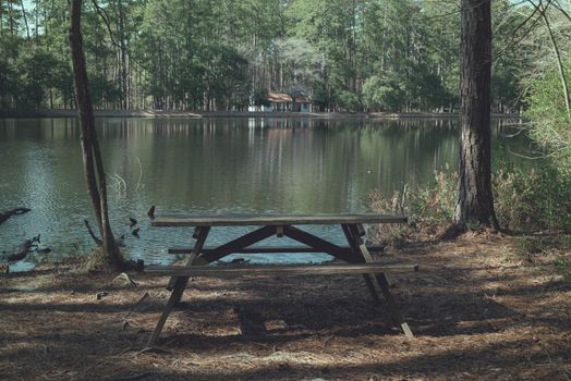A serene picnic table by a reflective lake in Sesqui State Park, Columbia, South Carolina.