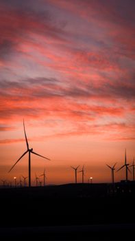 Wind turbines silhouetted against a vibrant sunset sky, showcasing renewable energy.