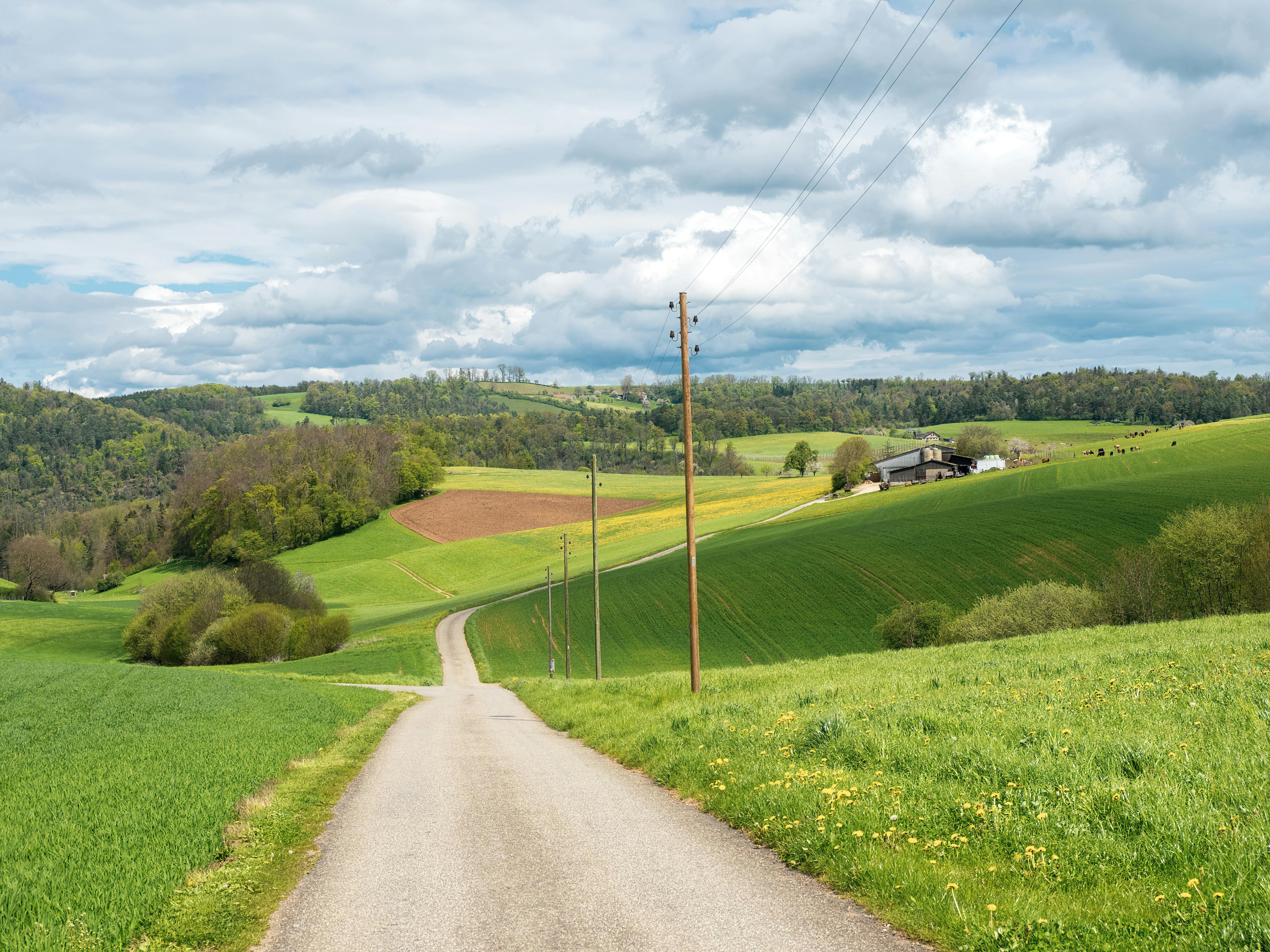 A lush, green pasture with grazing rabbits, highlighting environmental sustainability