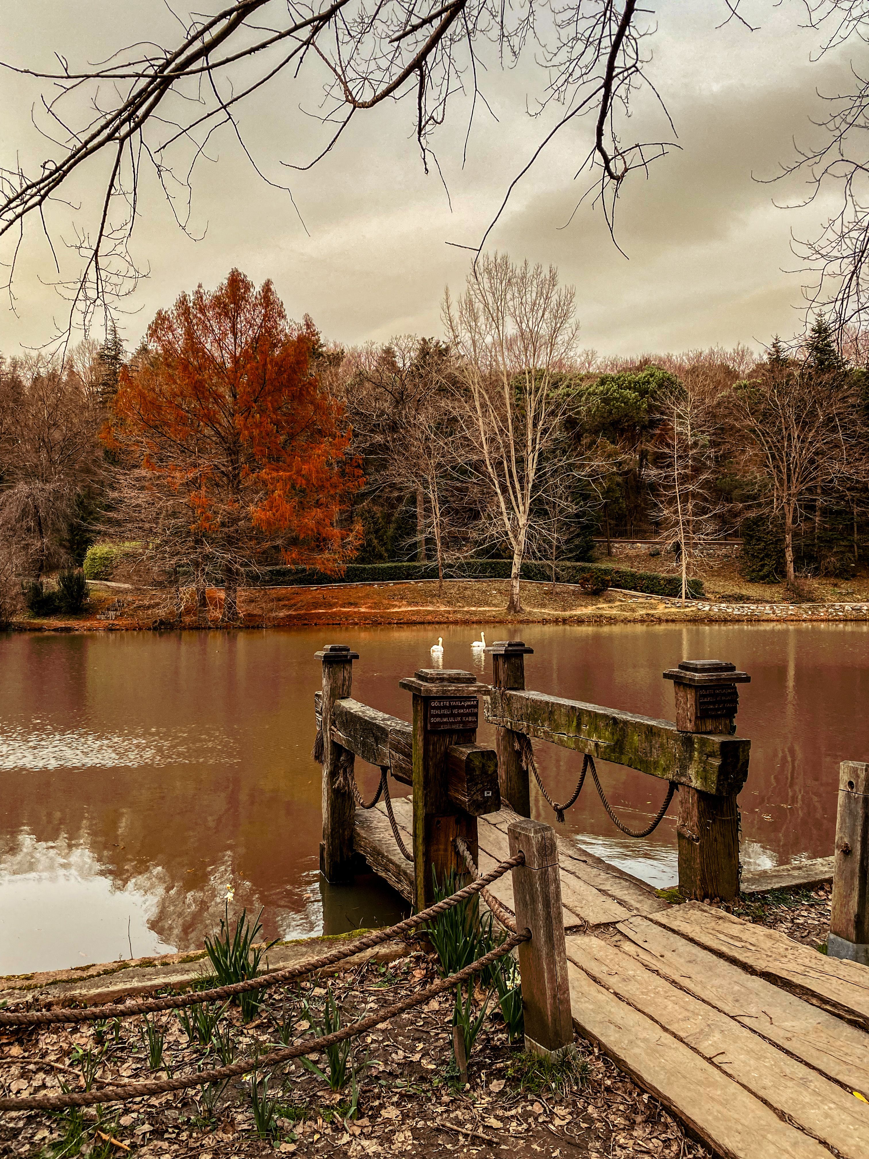 Serene Autumn Landscape with Wooden Pier and Lake · Free Stock Photo