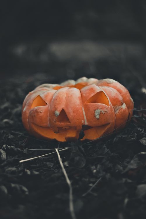 Free Creepy jack-o'-lantern lying on the ground, perfect for Halloween themes. Stock Photo