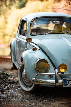 A vintage blue Volkswagen Beetle parked in an autumn forest setting in Yalova, Türkiye.