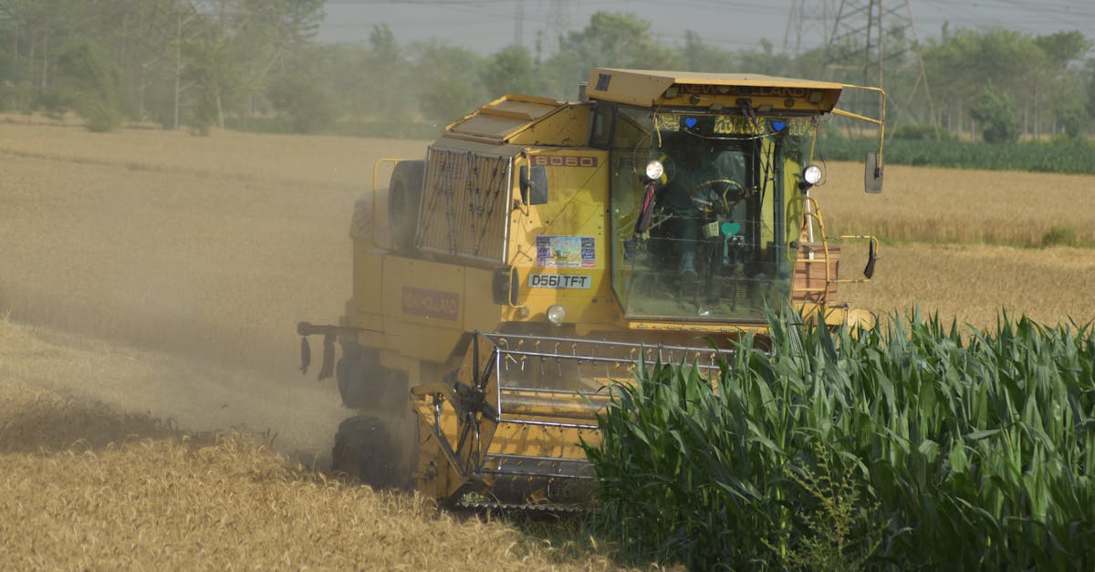 科技神農引領青蔥設施栽培 打造韌性安全供應鏈