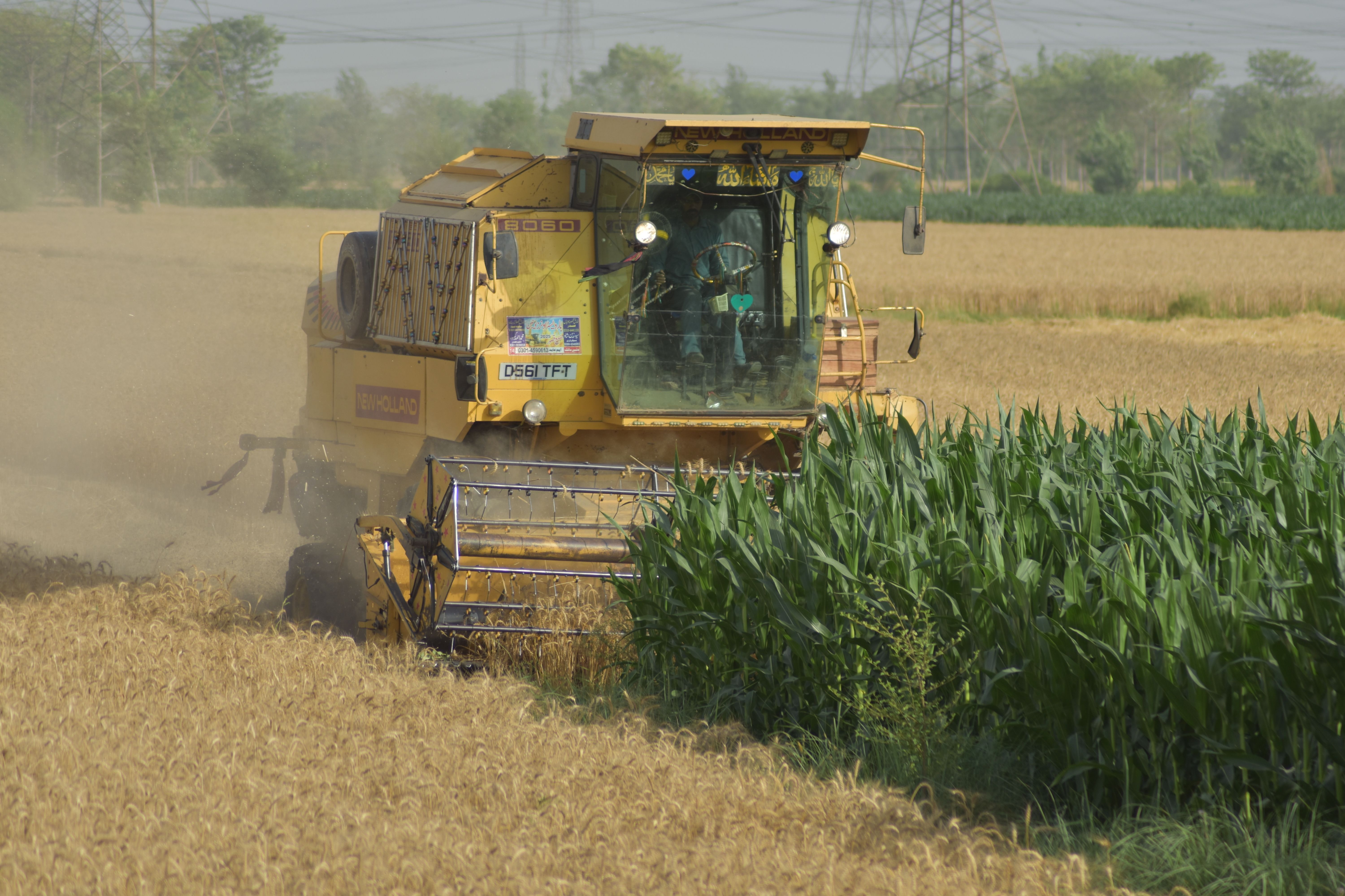 Cereal flours; other than wheat, meslin, and maize (corn)