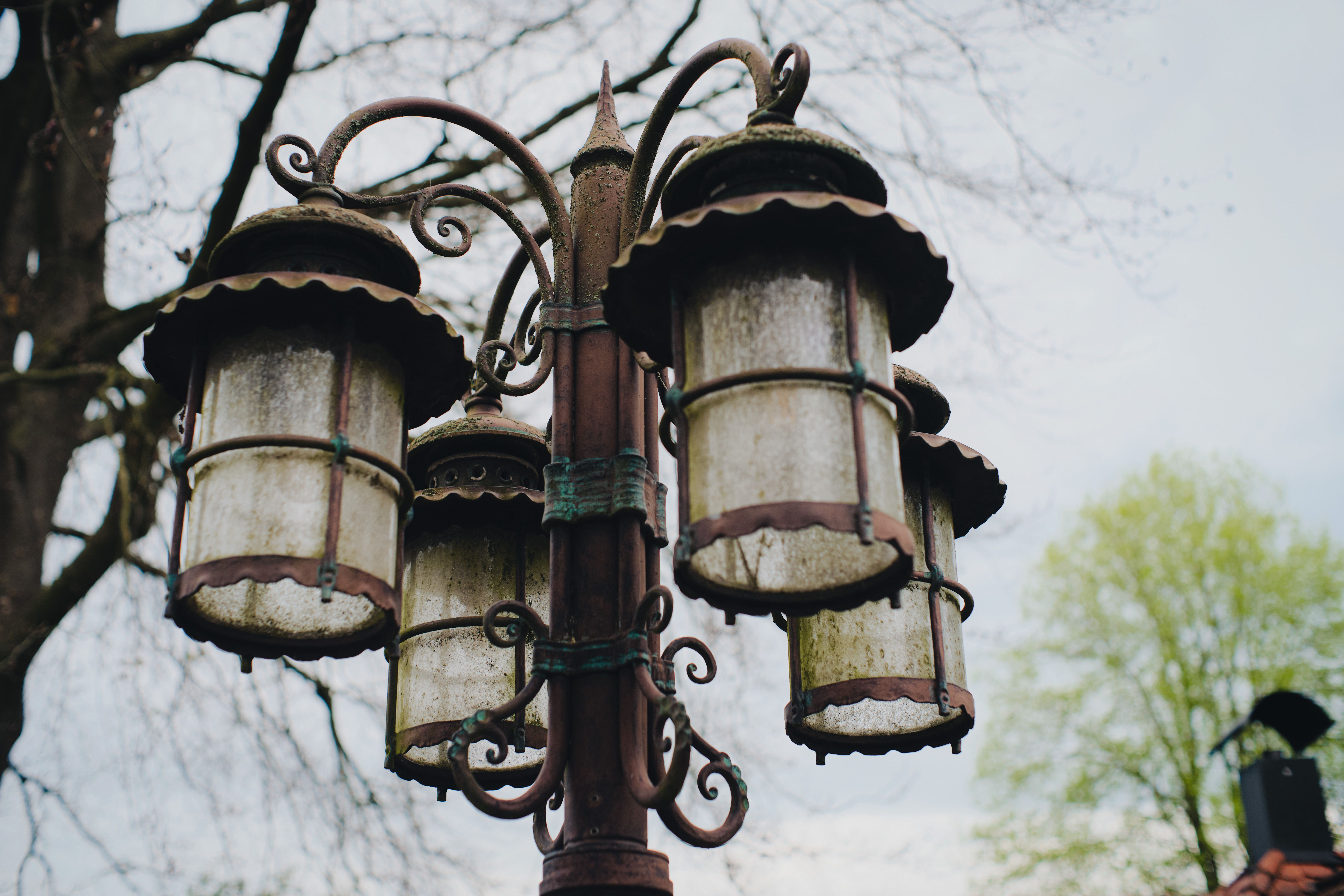 Antique Rusty Lanterns Against Spring Trees · Free Stock Photo