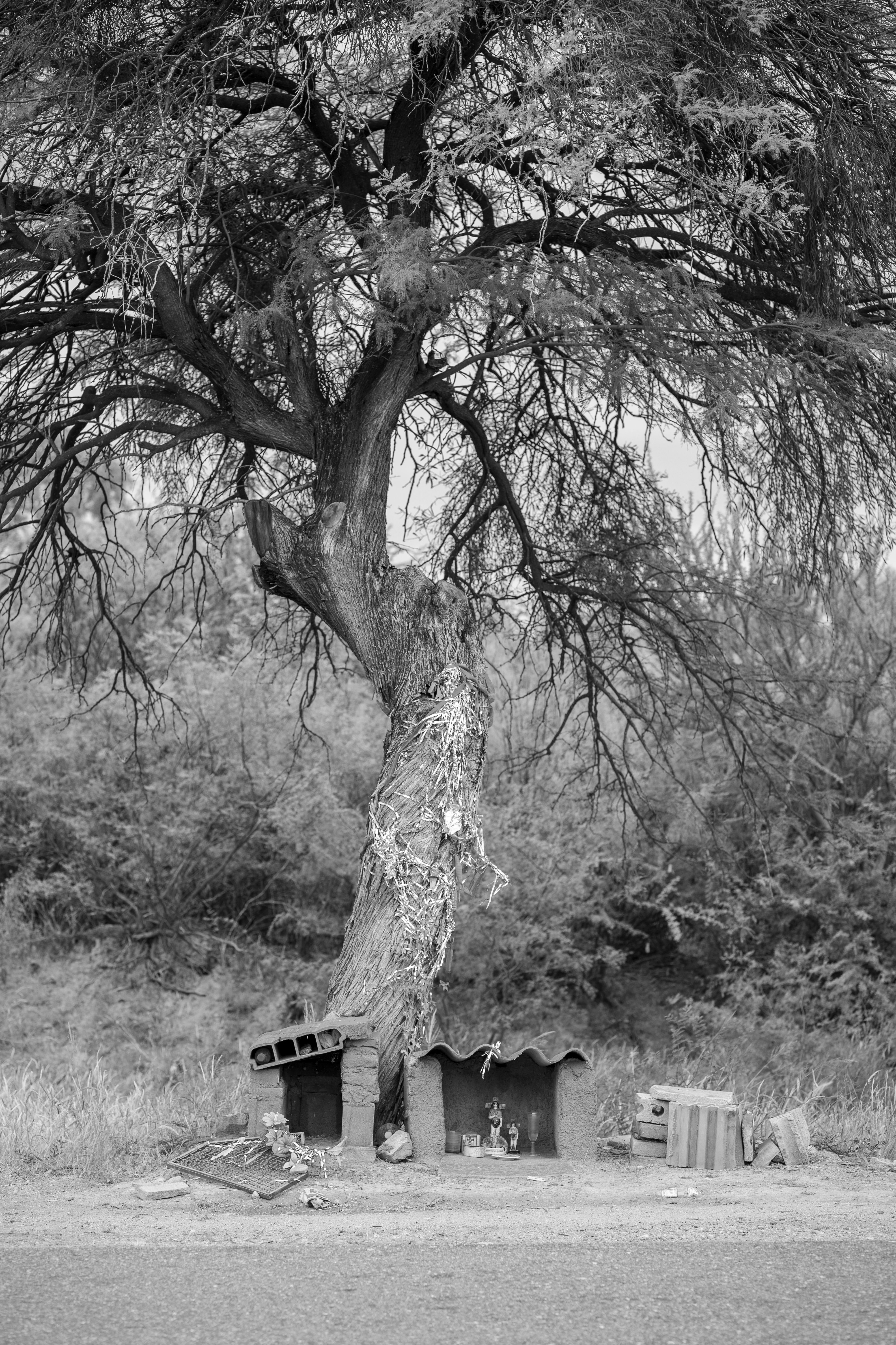 A traditional folklore shrine in San José de Las Salinas, Argentina, set under a tree on a rural roadside.