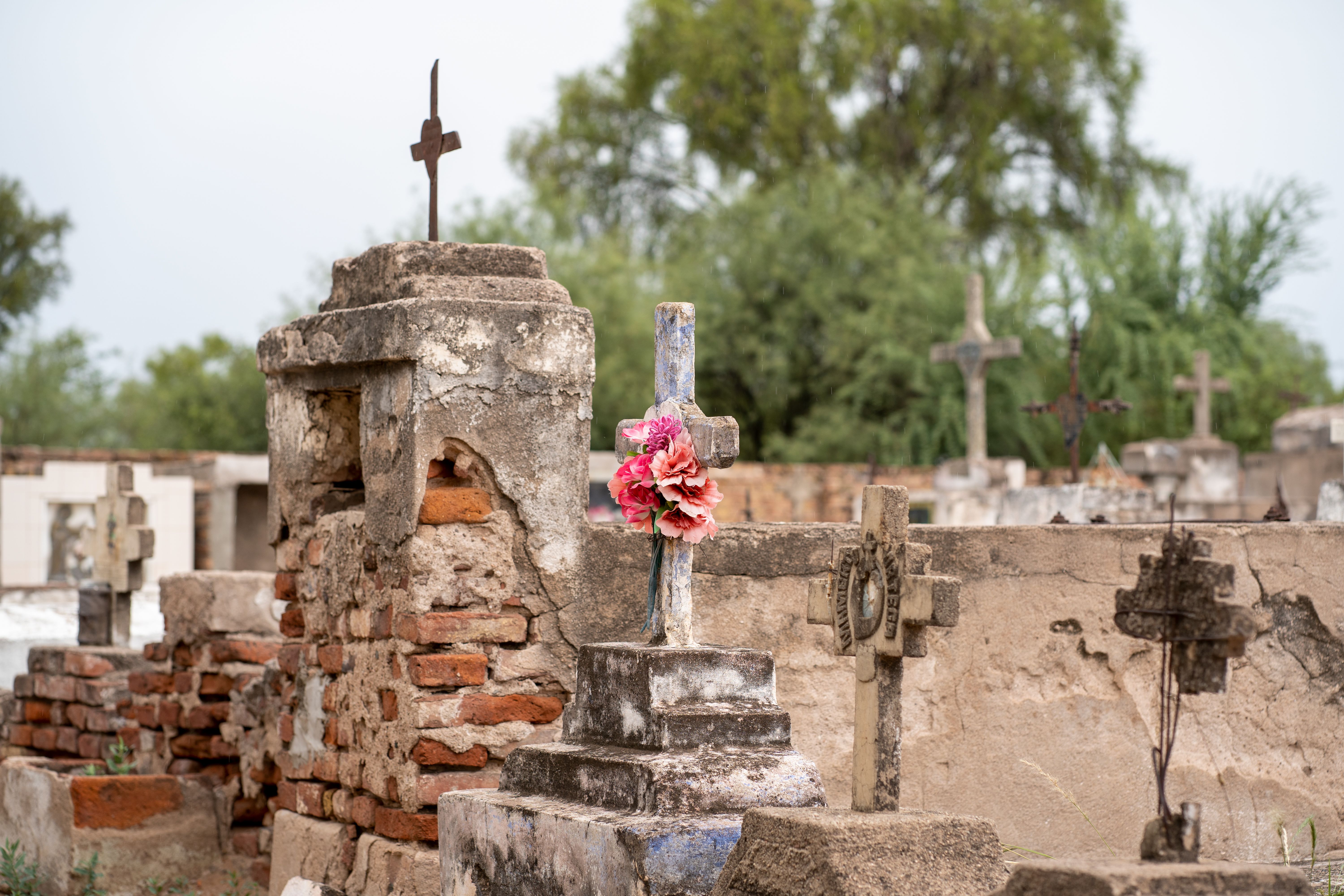 Rustic Cemetery Graves with Floral Ornamentation · Free Stock Photo