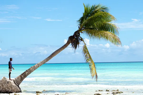 l'île de Saona