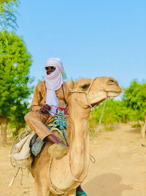 Free A man riding a camel through a sunny desert landscape, wearing traditional attire. Stock Photo