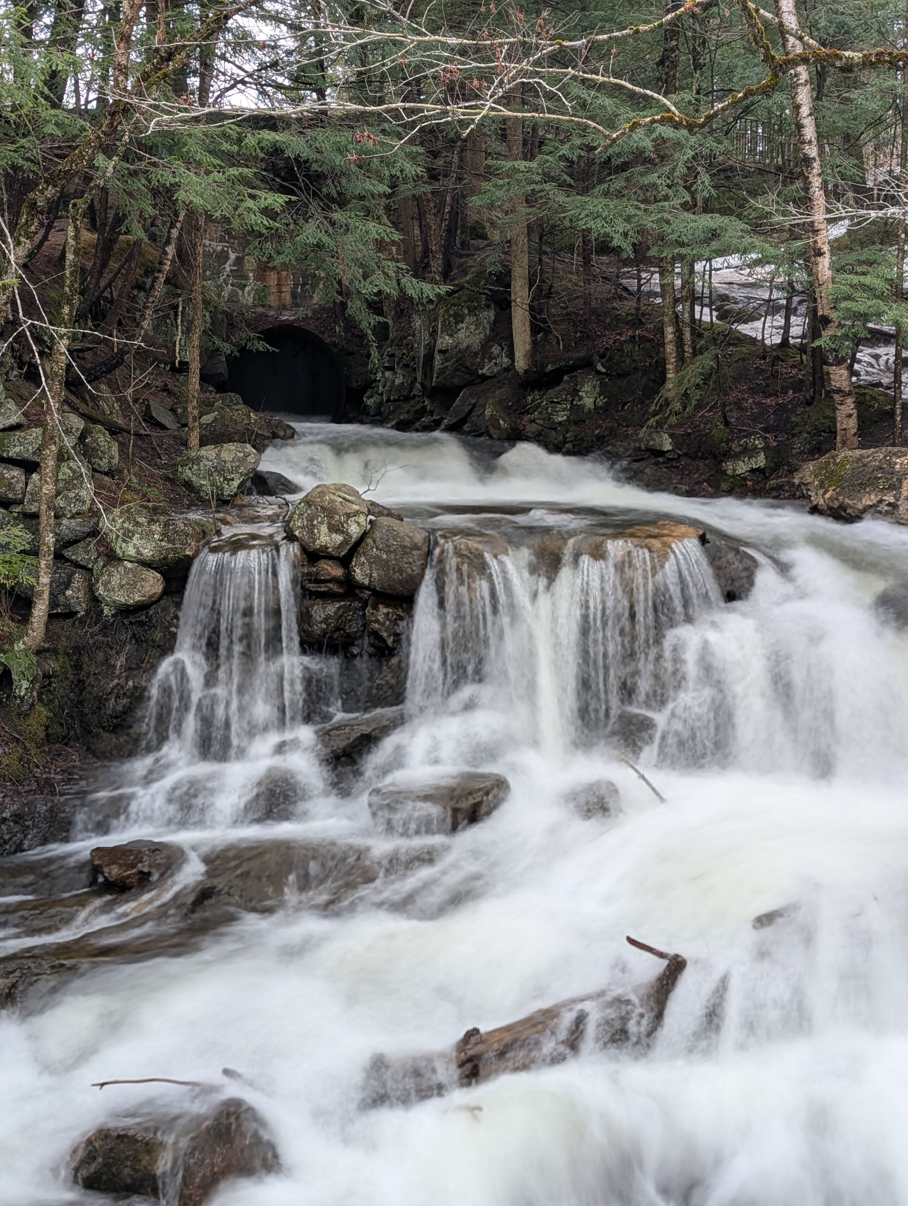 Scenic Waterfall Cascading Through Forest · Free Stock Photo