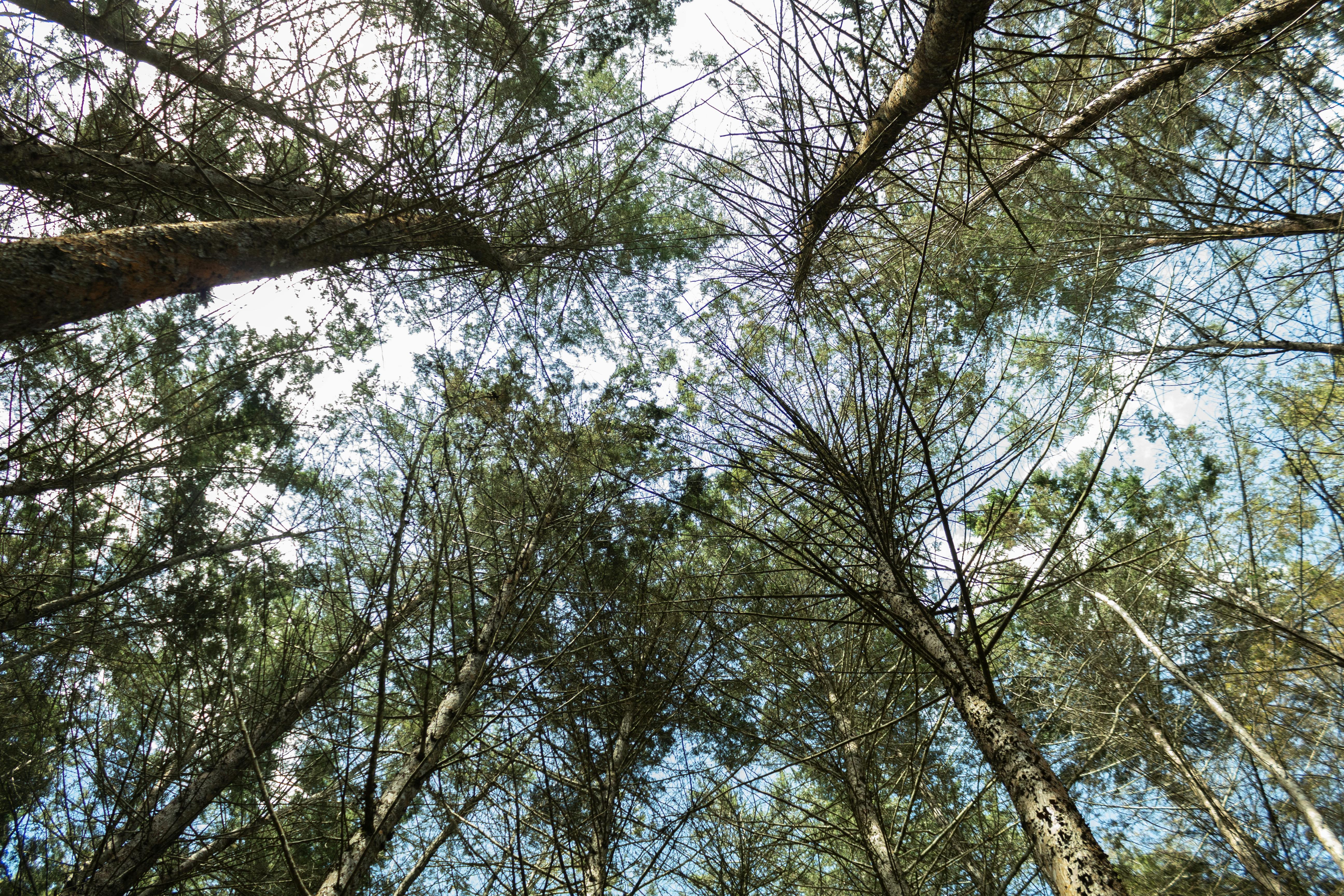 Why bad emissions accounting undermines climate action