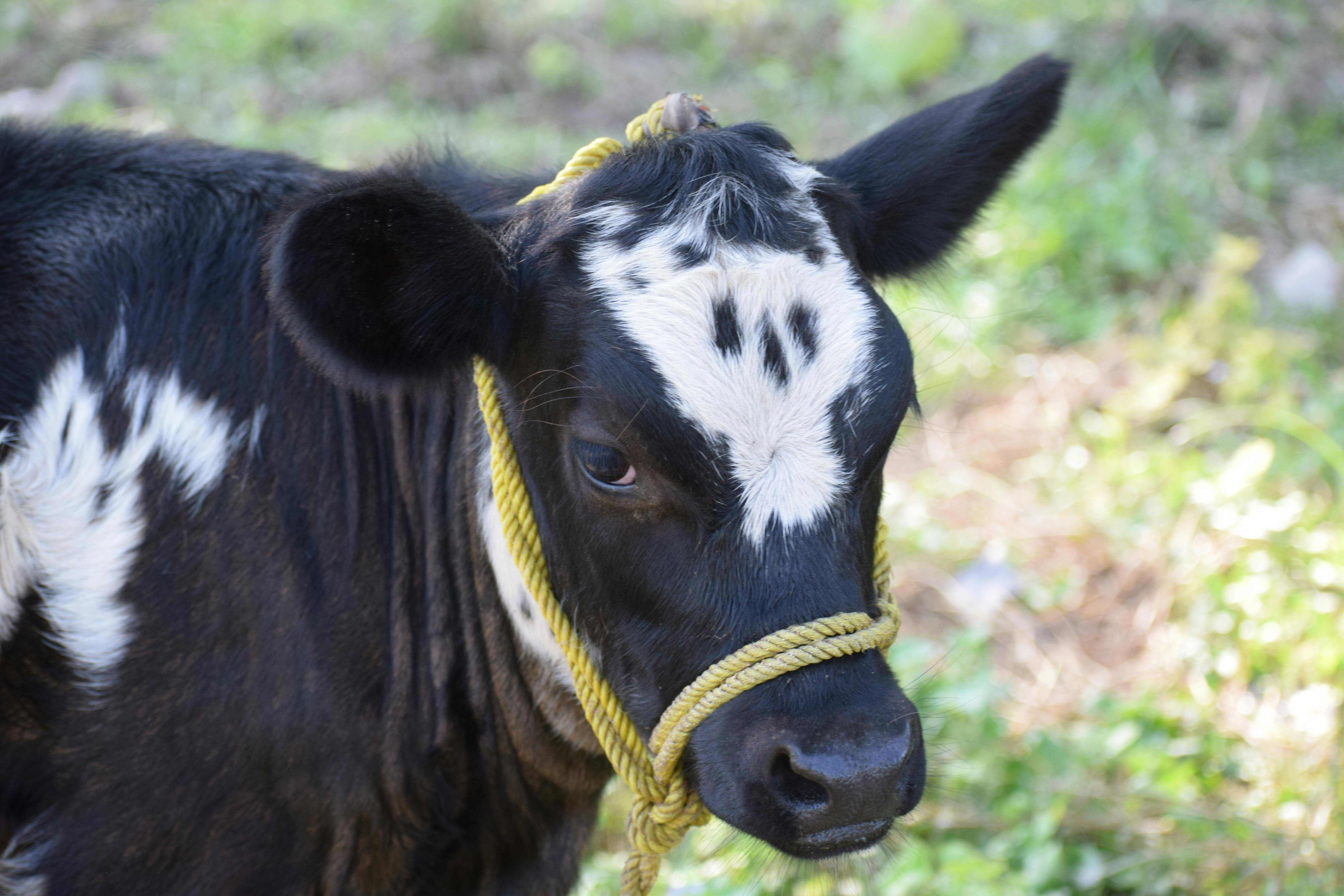 휴대폰 알림을 줄이고 책을 읽는 모습