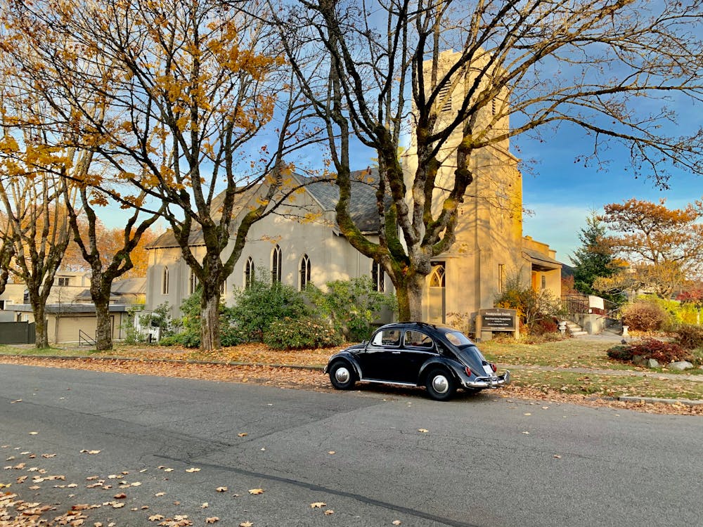 Immagine gratuita di alberi, auto, autunno