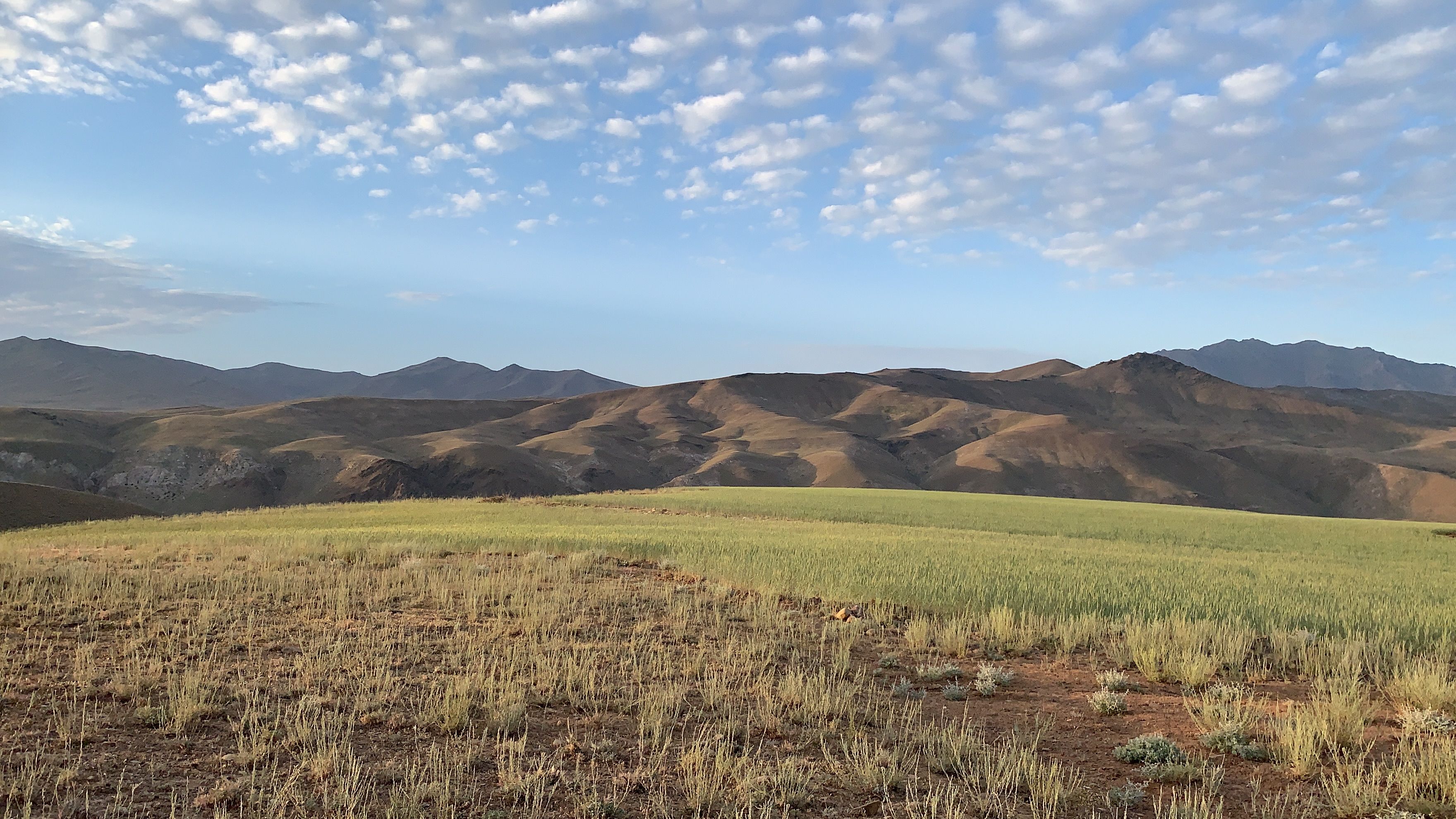 Golden hills under blue skies in Wardak, Afghanistan offer a serene landscape view.
