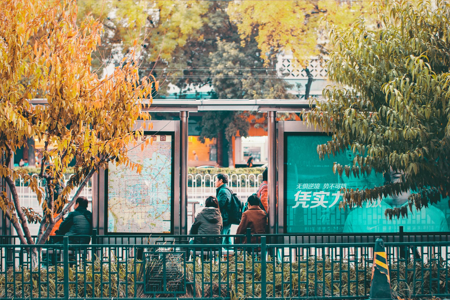 Colorful autumn day at a busy bus stop in Beijing, China with vibrant foliage.