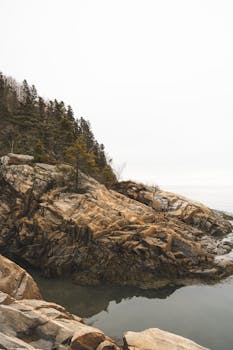 A tranquil rocky shoreline with calm water and lush trees under a cloudy sky.