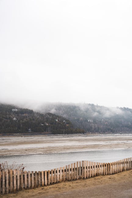 Peaceful coastal landscape featuring misty mountains and a sandy shore.
