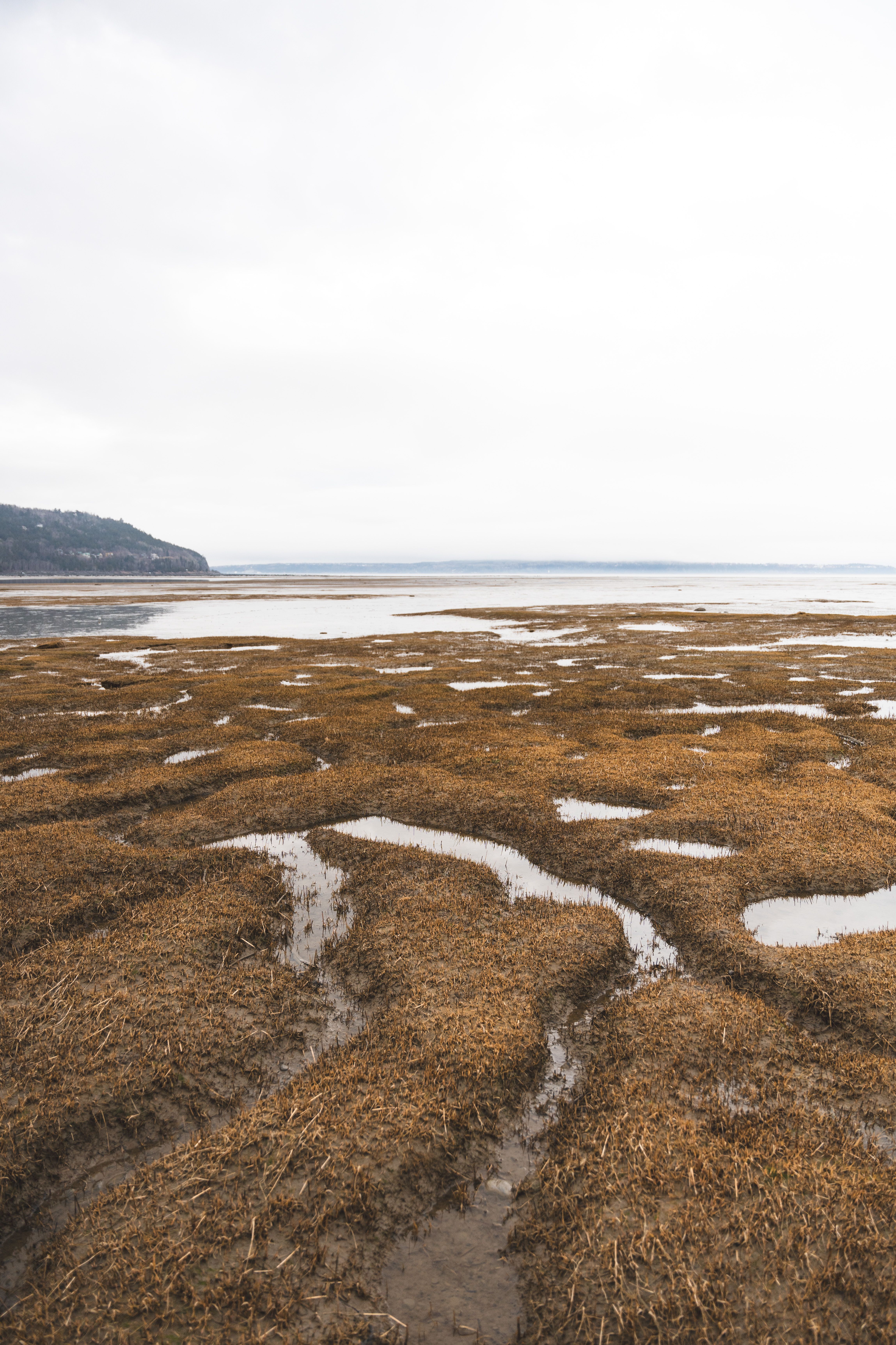 Explore the serene tidal flats and distant mountains in Charlevoix, a stunning natural landscape.