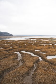 Explore the serene tidal flats and distant mountains in Charlevoix, a stunning natural landscape.