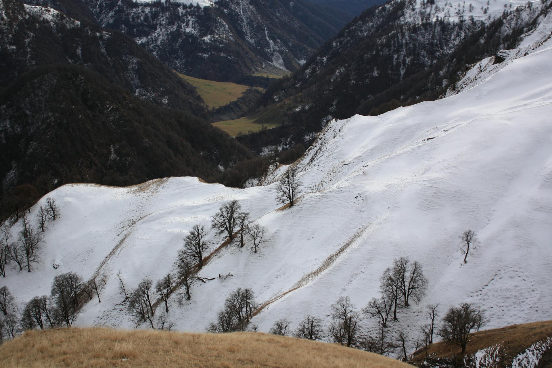 A serene snow-covered mountain landscape with trees under a winter sky.