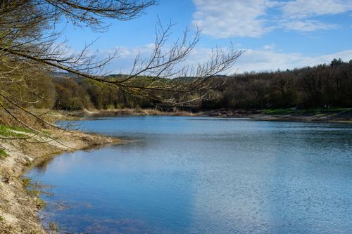 Free A tranquil lakeside view showcasing bare trees and calm water reflecting blue skies, evoking peace. Stock Photo