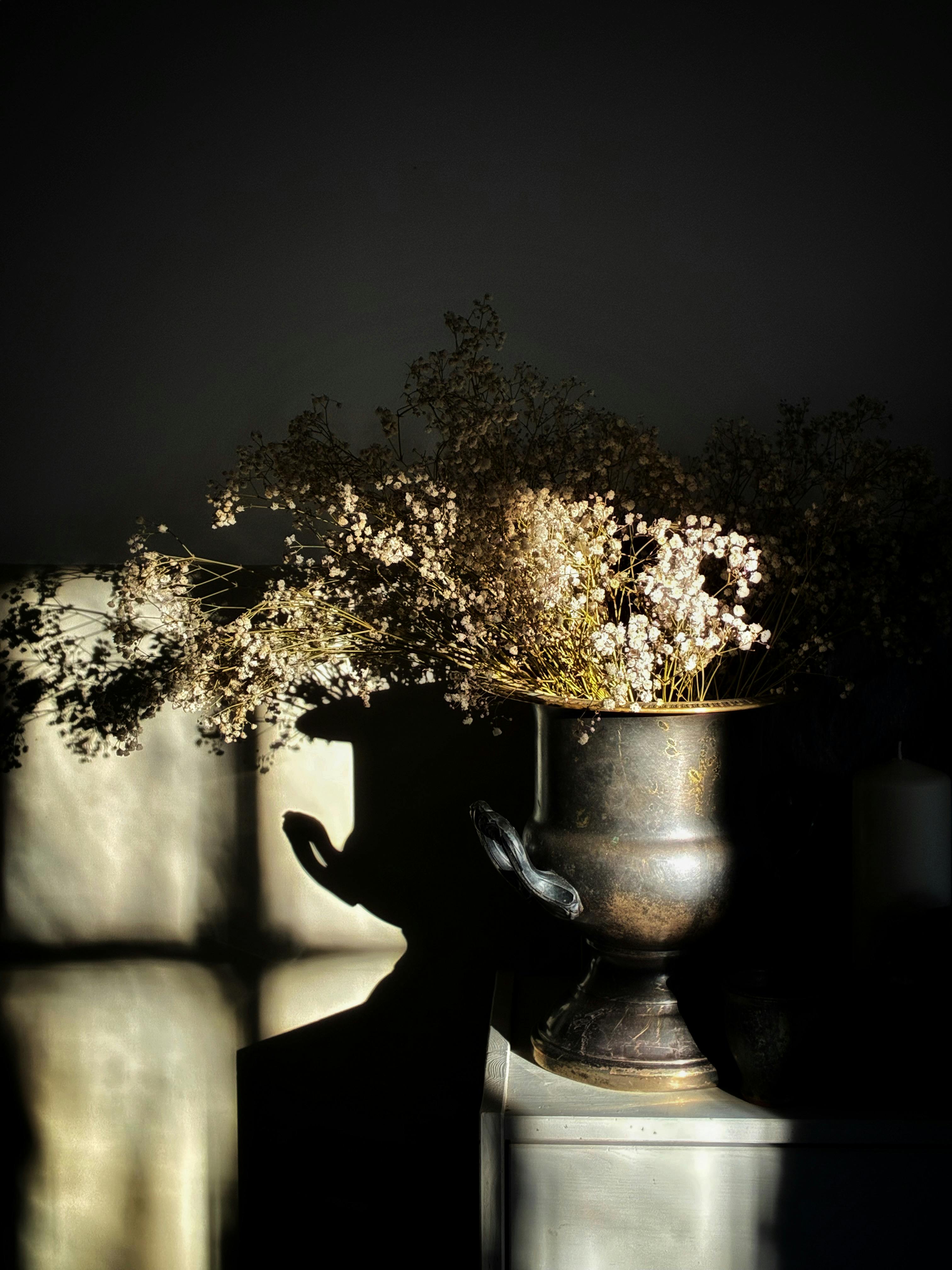 Artistic display of gypsophila flowers in a rustic brass vase, casting dramatic shadows.