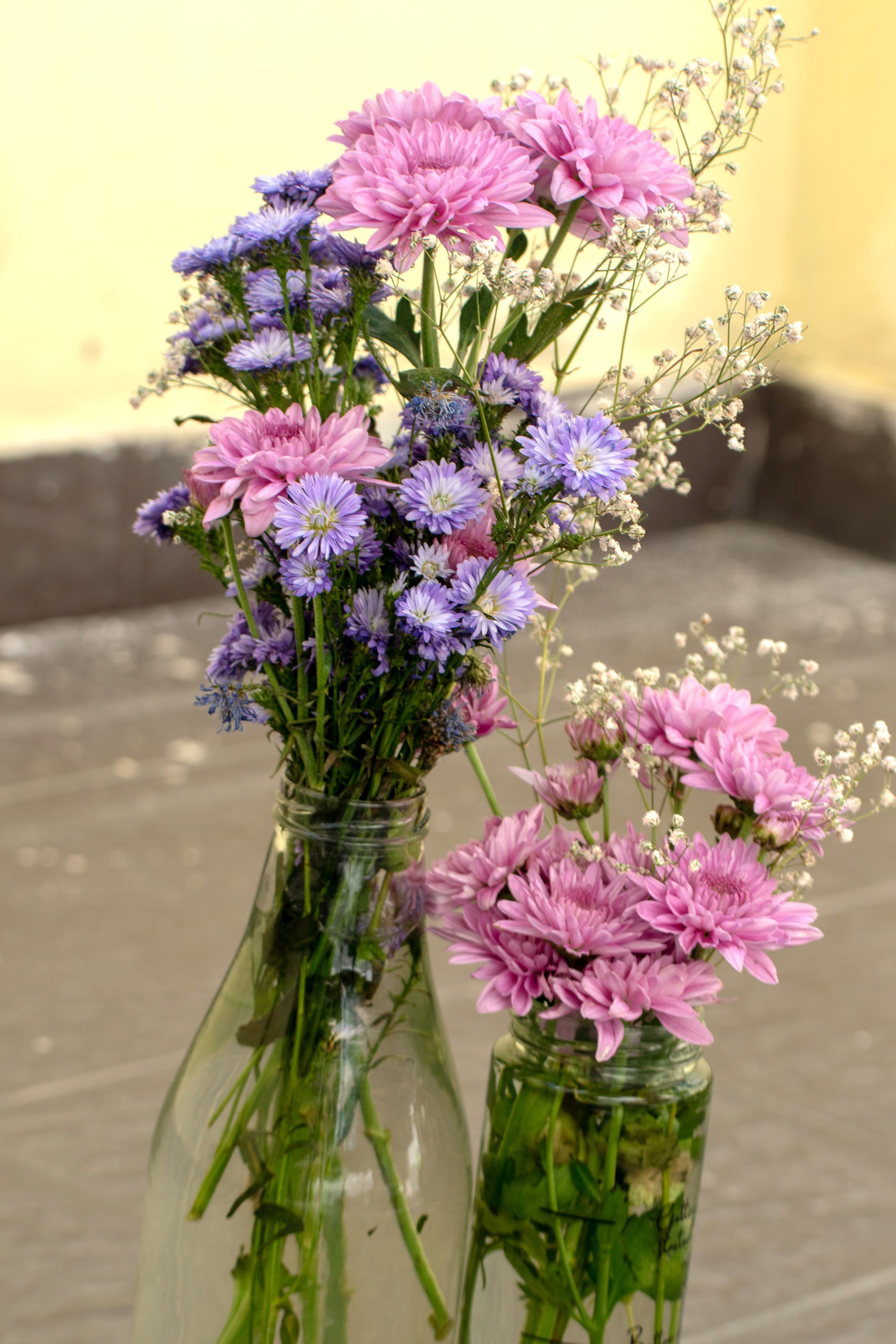 [ColoSach]-colorful-flowers-in-glass-bottles-placed-on-a-rustic-surface.