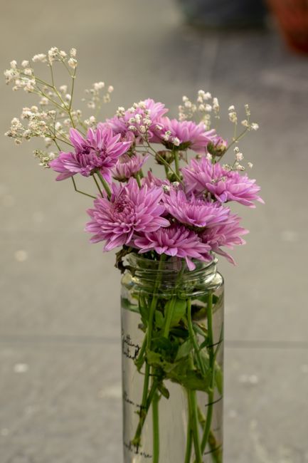 Fotomural Elegante arreglo de crisantemos morados y gypsophila en un jarrón de cristal, perfecto para la decoración del hogar.