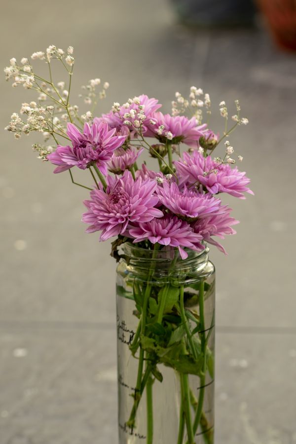 Arranjo elegante de crisântemos roxos e flor de verdade em um vaso de vidro, perfeito para decoração de interiores.