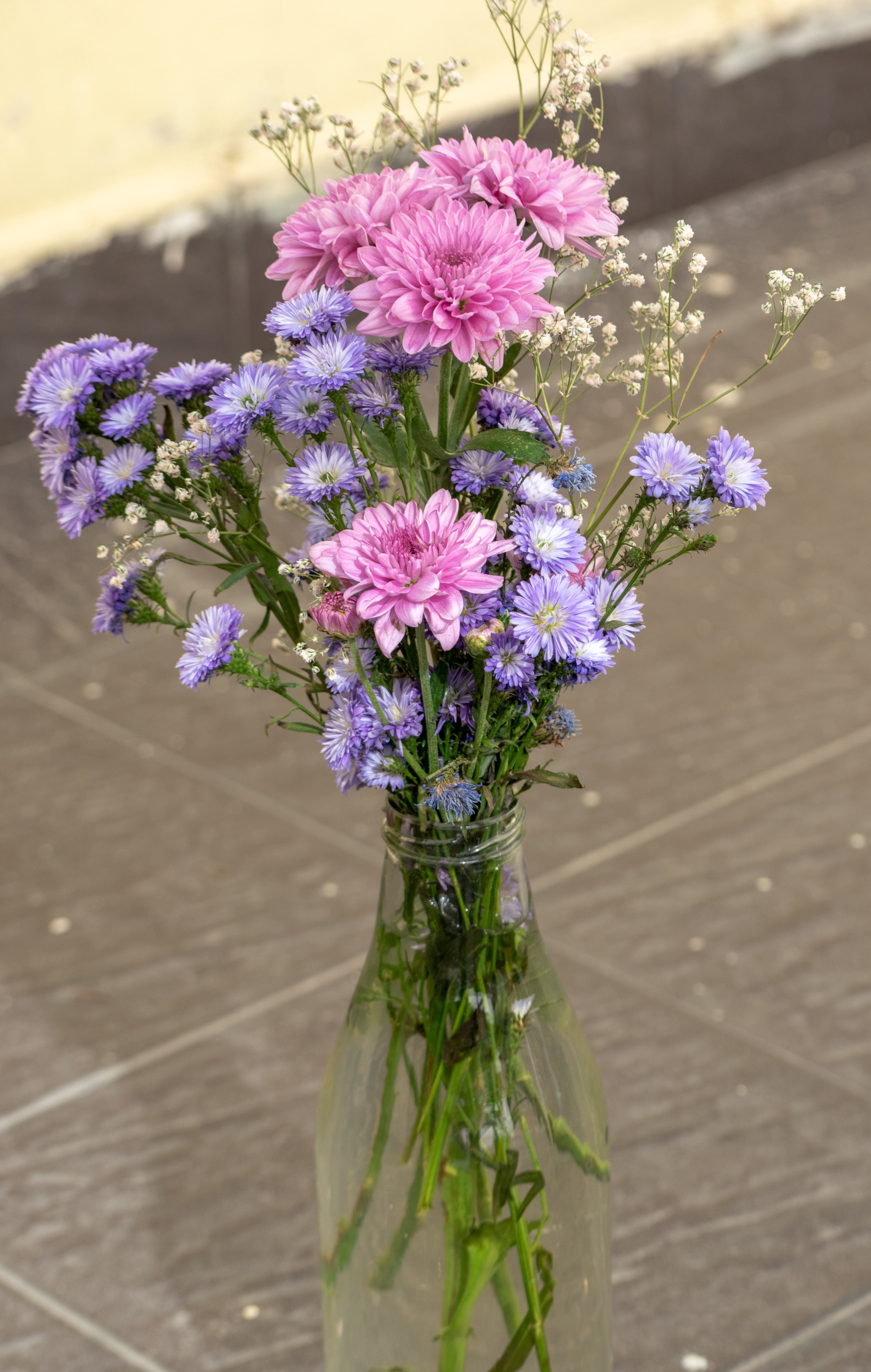 [ColoSach]-a-vivid-arrangement-of-pink-chrysanths-and-purple-asters-in-a-clear-vase.