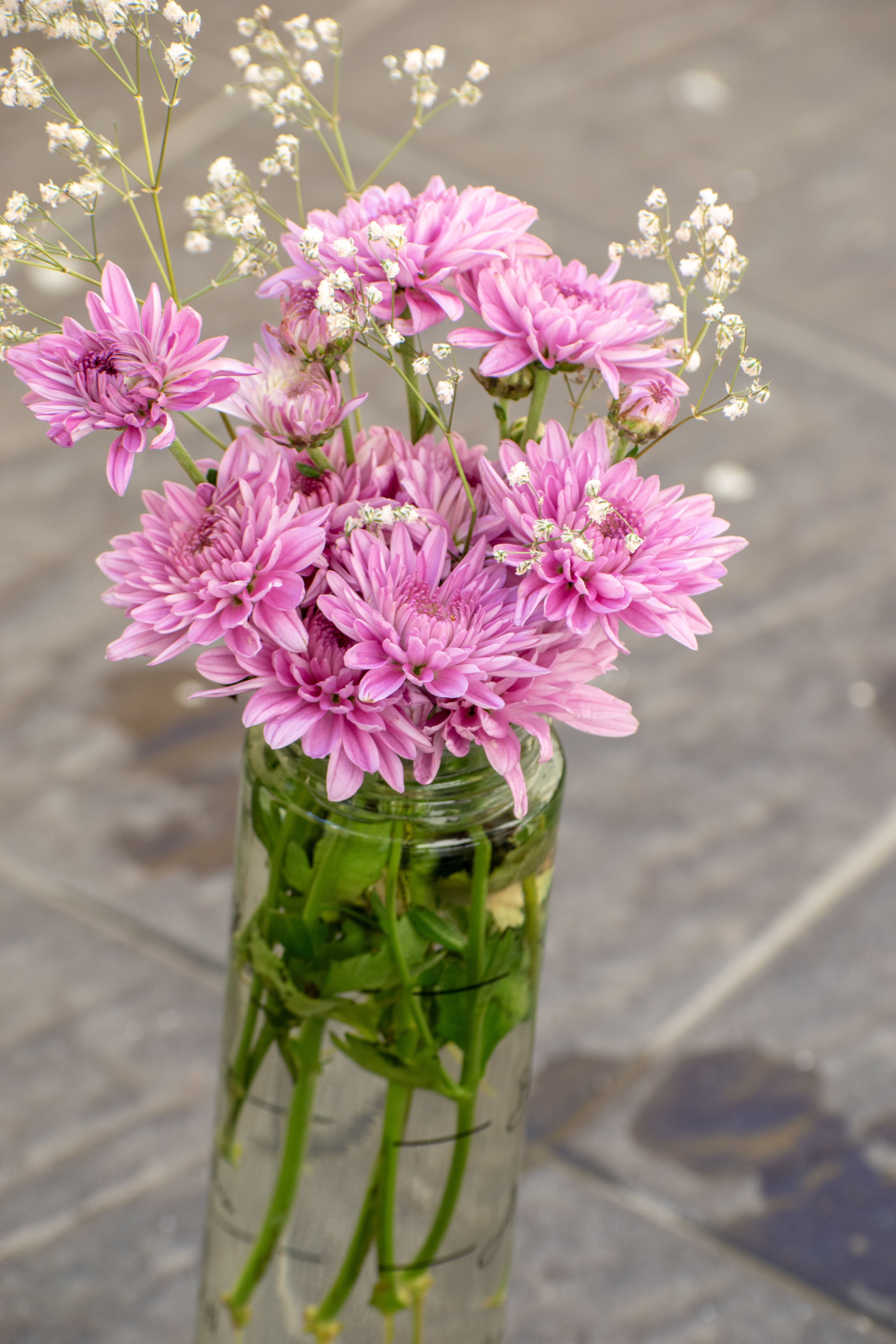[ColoSach]-beautiful-arrangement-of-pink-chrysanthemums-in-a-clear-glass-vase,-perfect-for-adding-elegance.