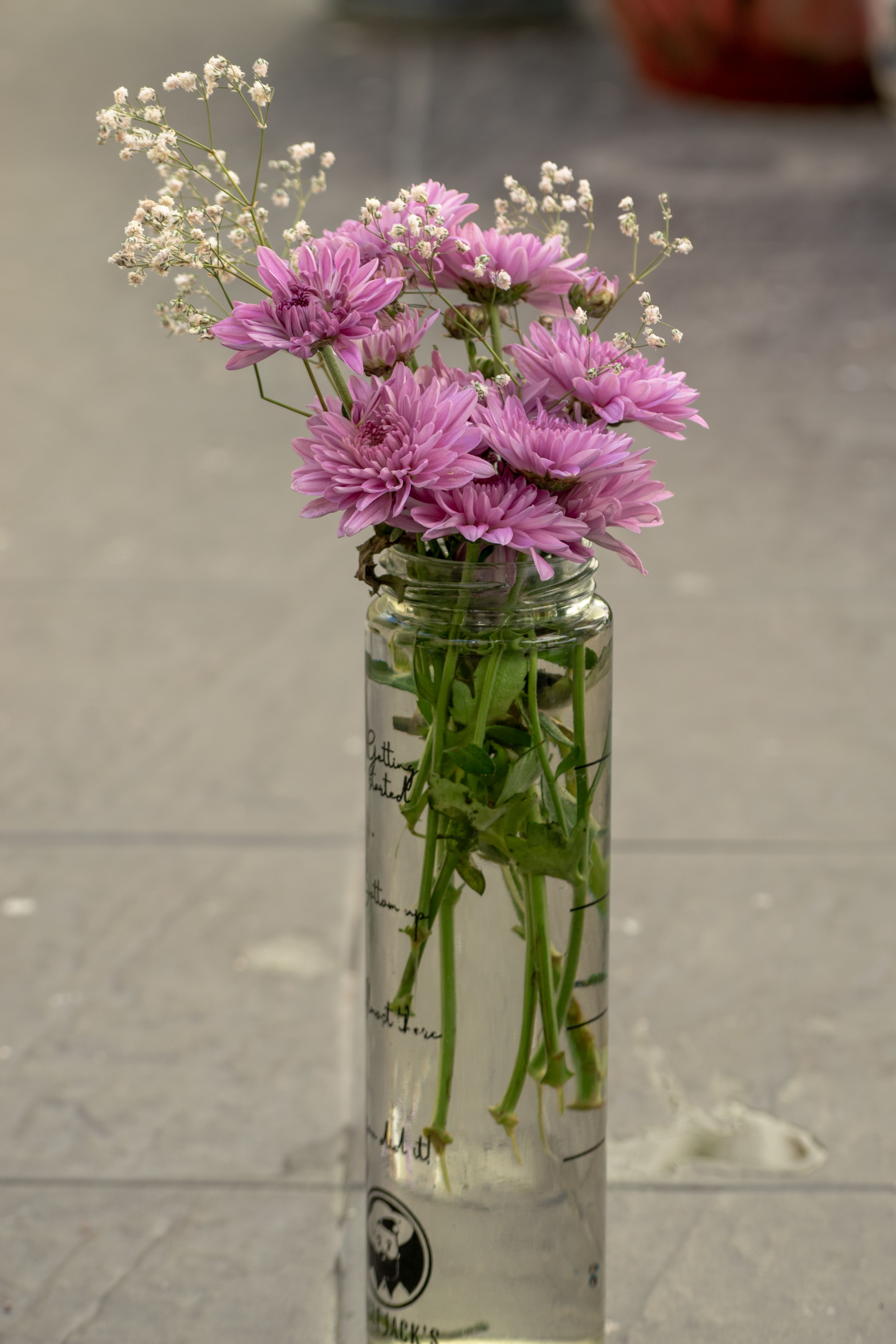 [ColoSach]-delicate-pink-chrysanthemums-arranged-in-a-clear-glass-vase,-adding-a-touch-of-elegance-to-any-setting.