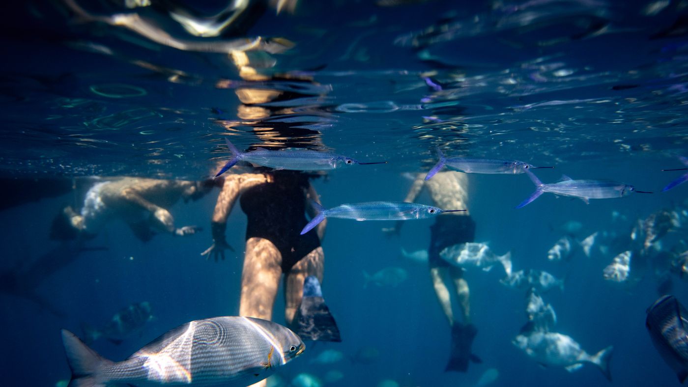 Hawaii Fishing Charter Tips: What to Pack and What to Expect