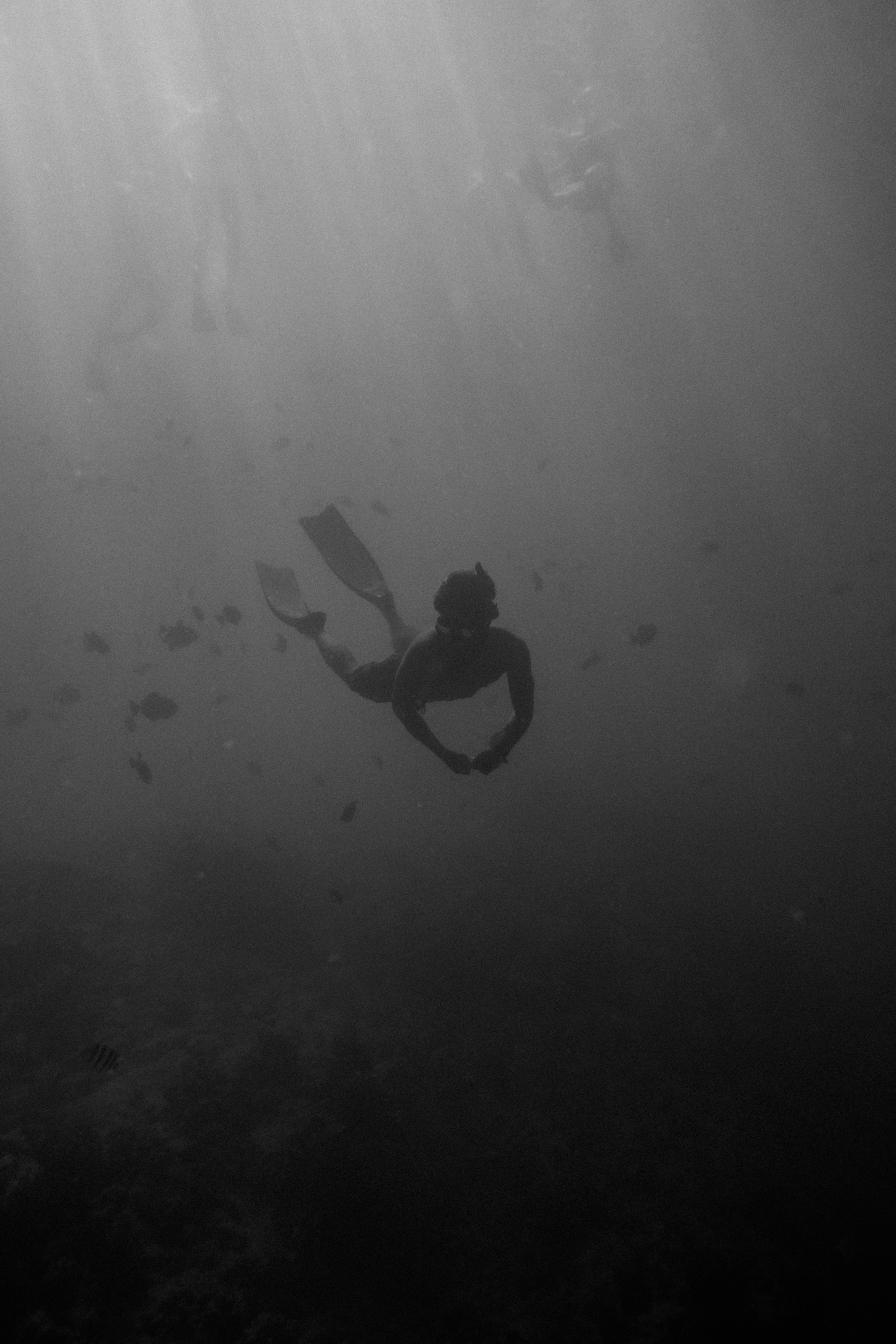 A captivating silhouette of a diver exploring underwater marine life in Hawaii.