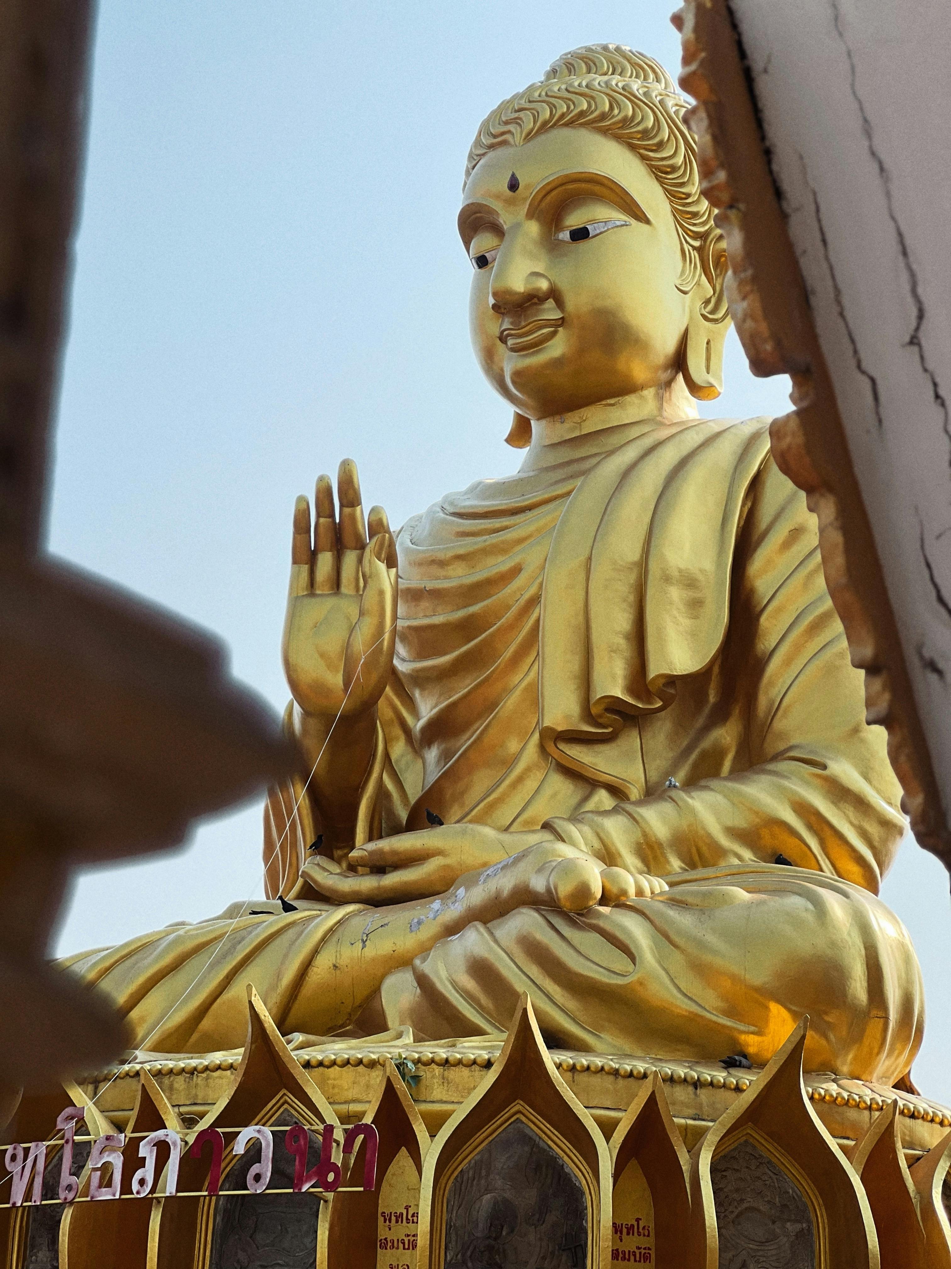 Meditation For Peace