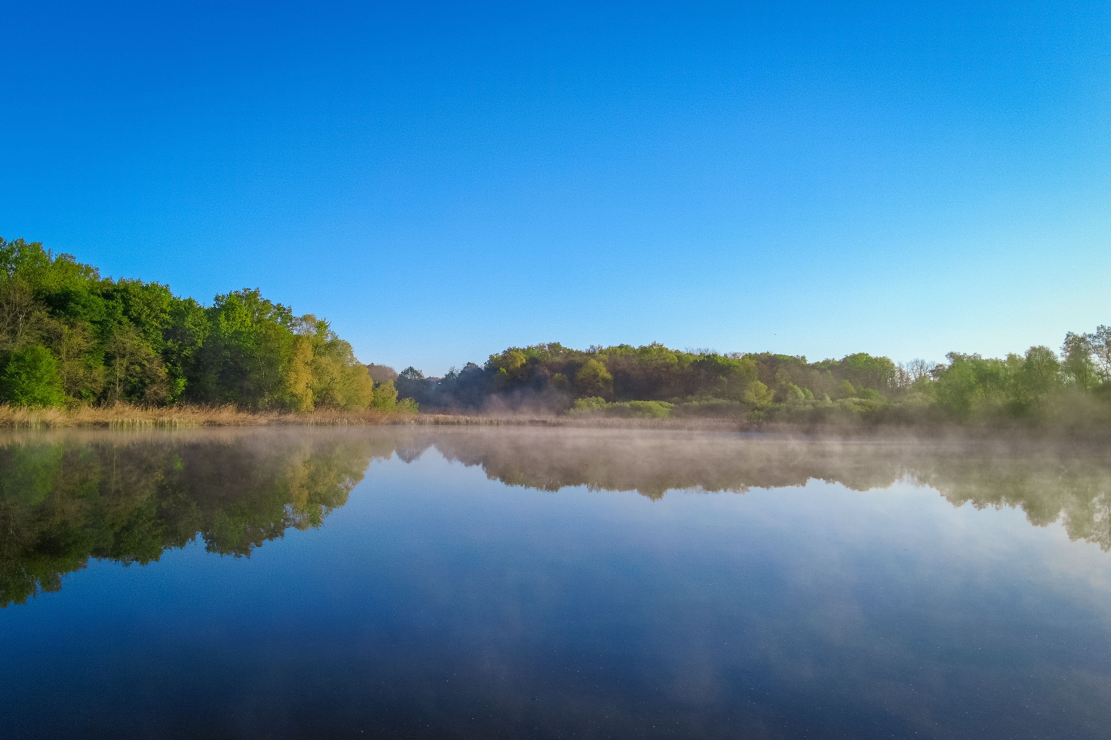 Serene Lake Landscape with Mist at Sunrise · Free Stock Photo